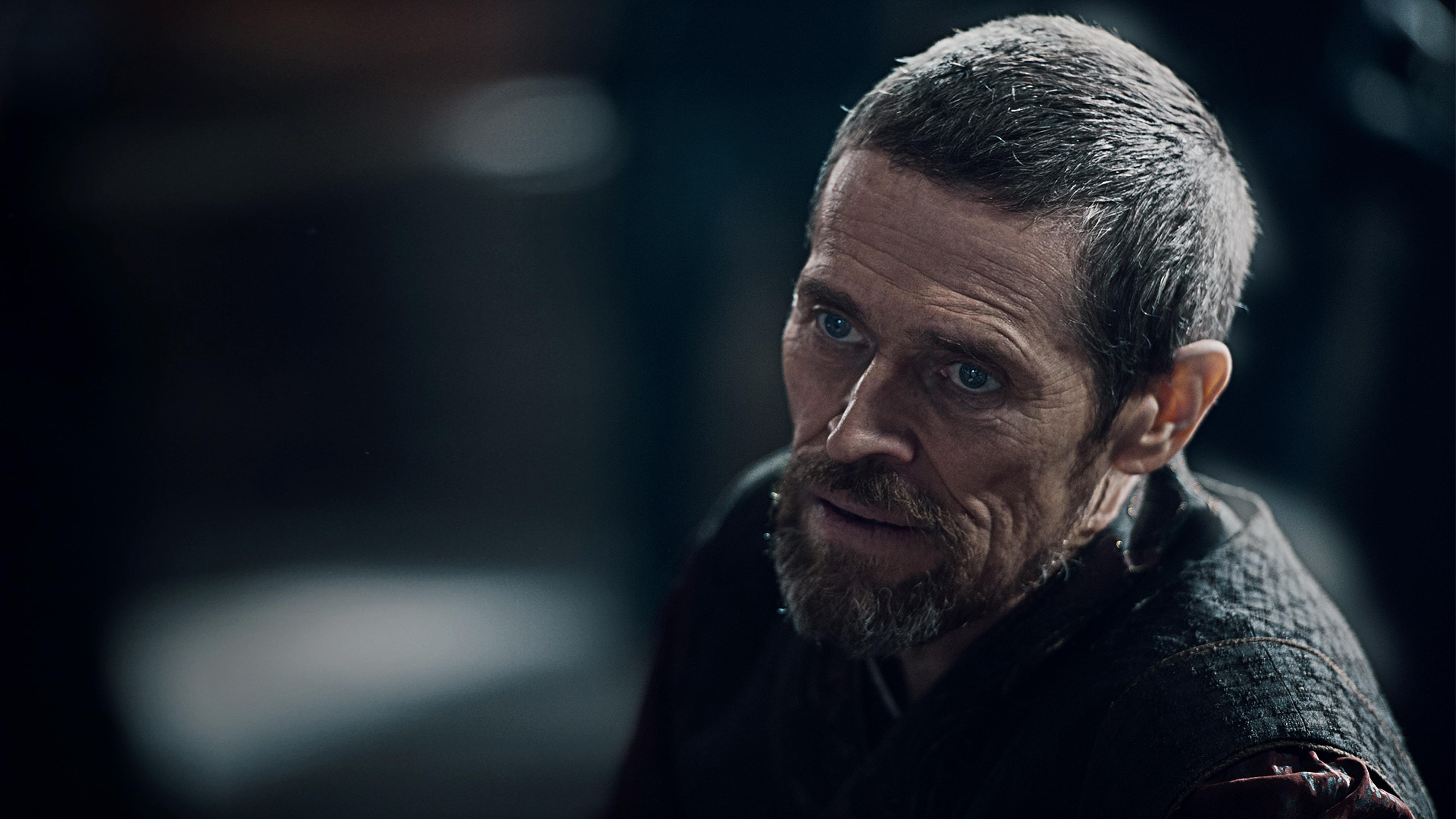 Willem Dafoe: An American actor who holds both American and Italian citizenship. 3600x2030 HD Background.