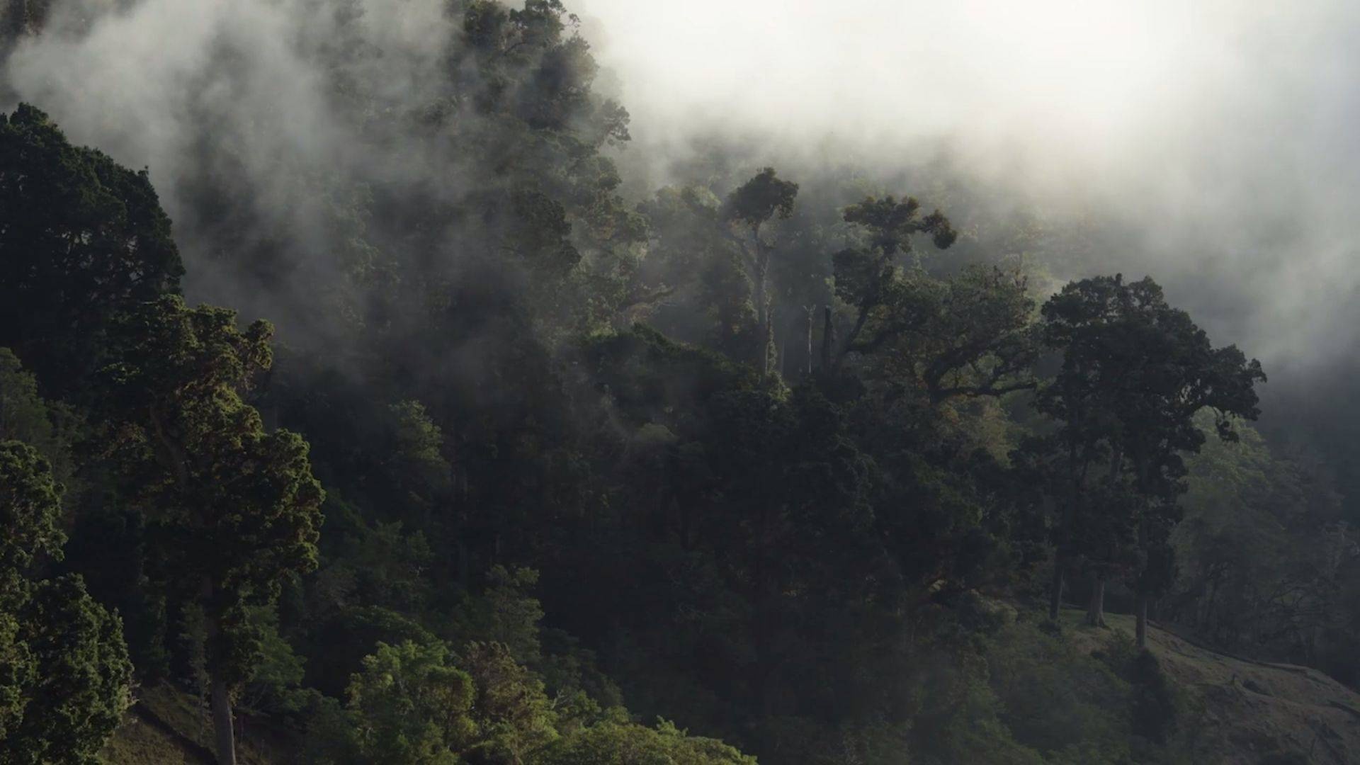 Costa Rica in 4K, Nature's paradise, Rich ecosystems, Pristine environment, 1920x1080 Full HD Desktop