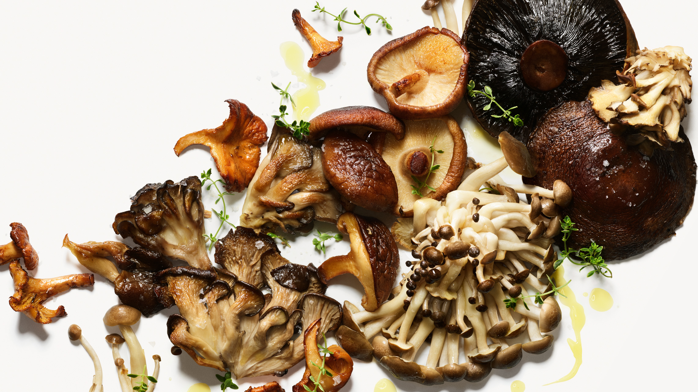 Mushroom types, Chanterelle, Oyster, Culinary variety, 2290x1290 HD Desktop