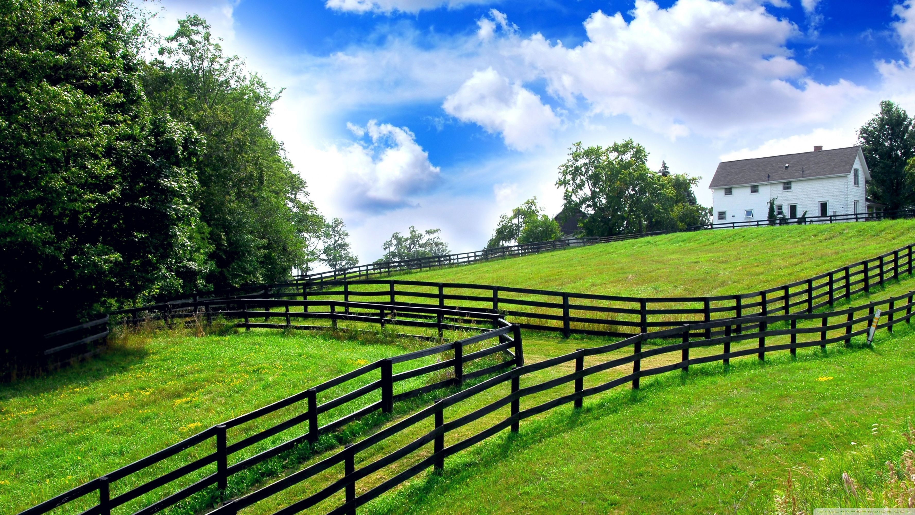 Farm: An area of land used for raising animals and growing crops. 3560x2000 HD Background.