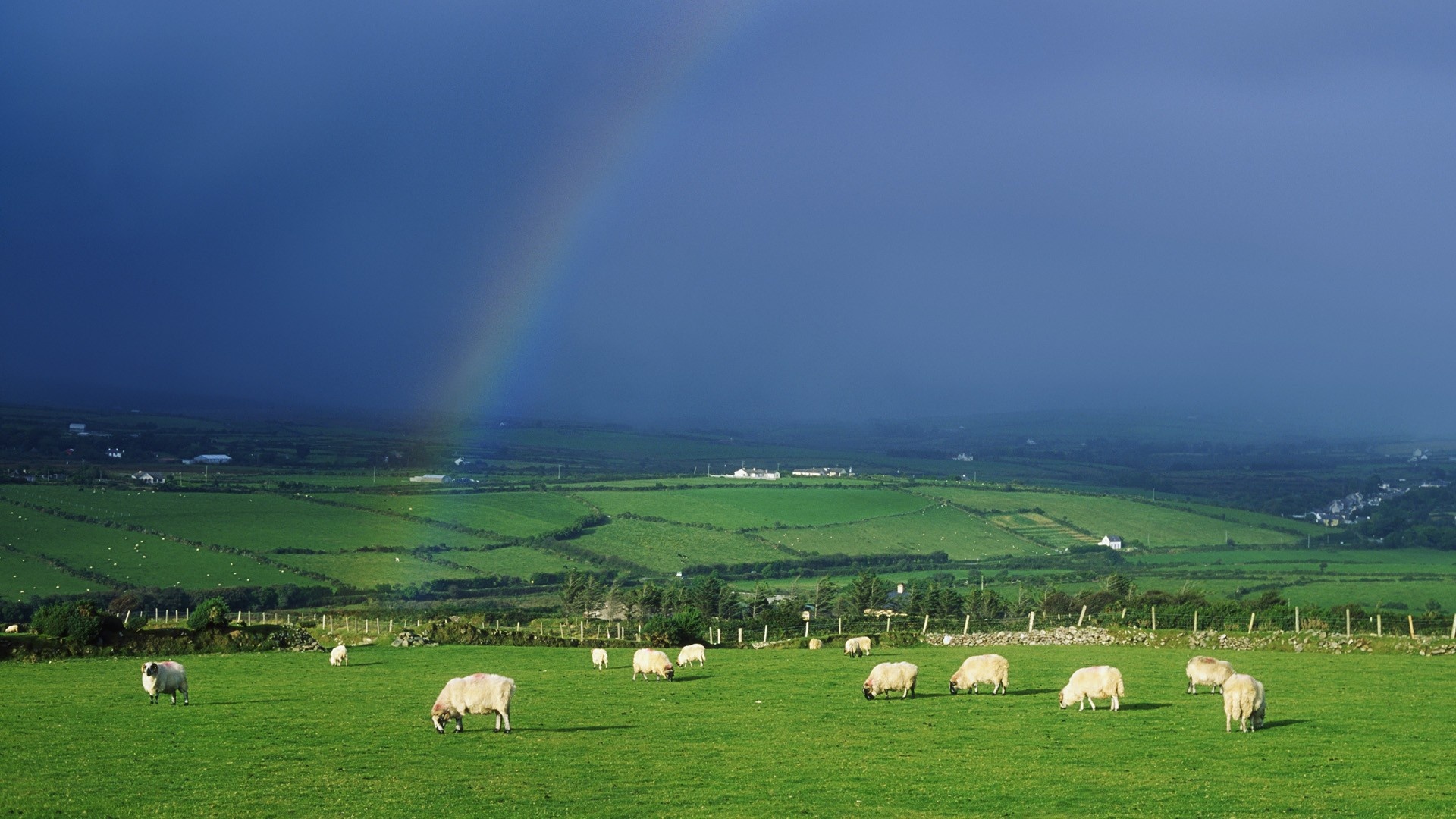 Irish Countryside, Rolling hills, Lush green fields, Tranquil charm, 1920x1080 Full HD Desktop