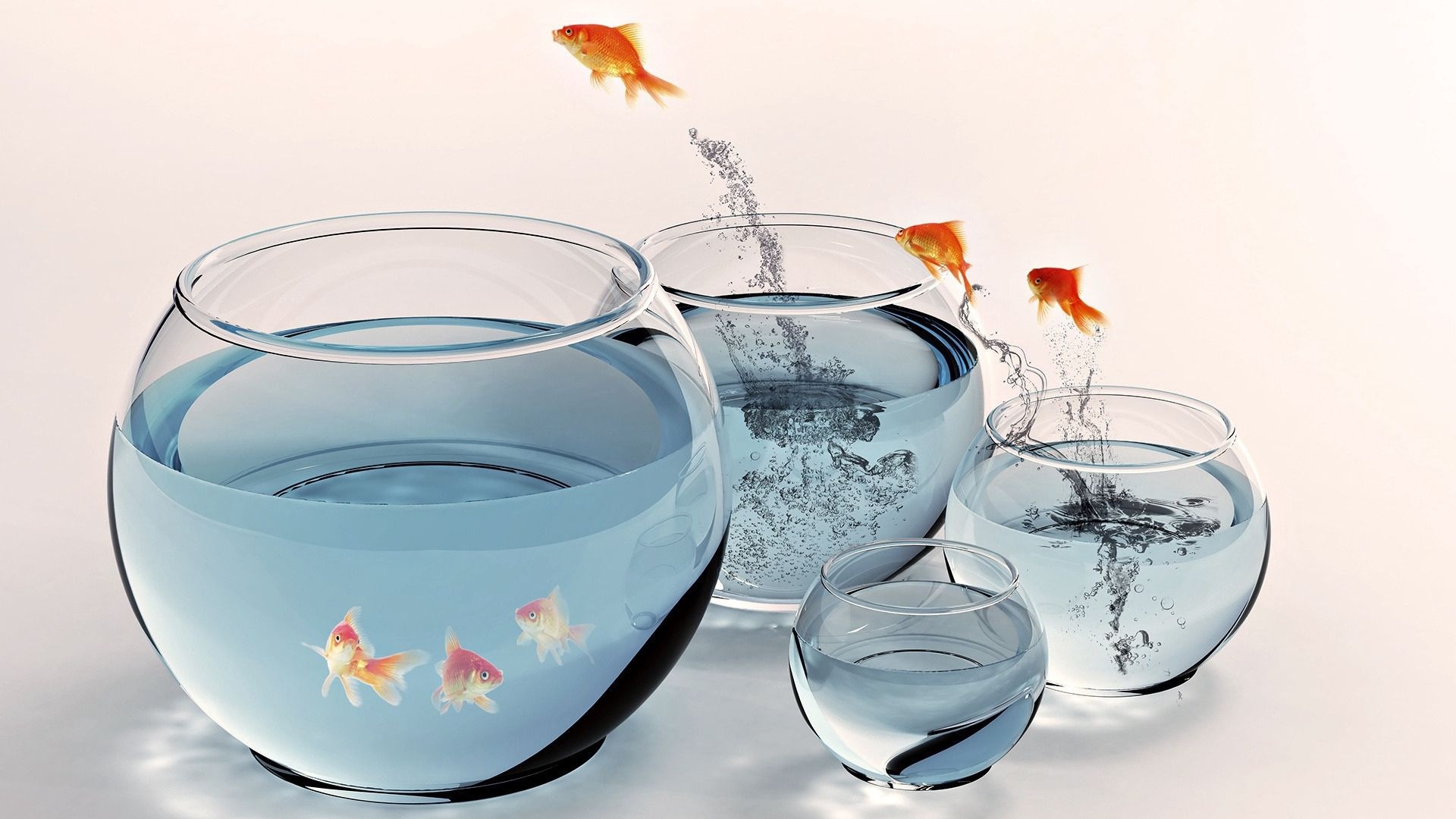 Fishbowl, Fish aquarium, Gold splashing, Jumping, 1920x1080 Full HD Desktop