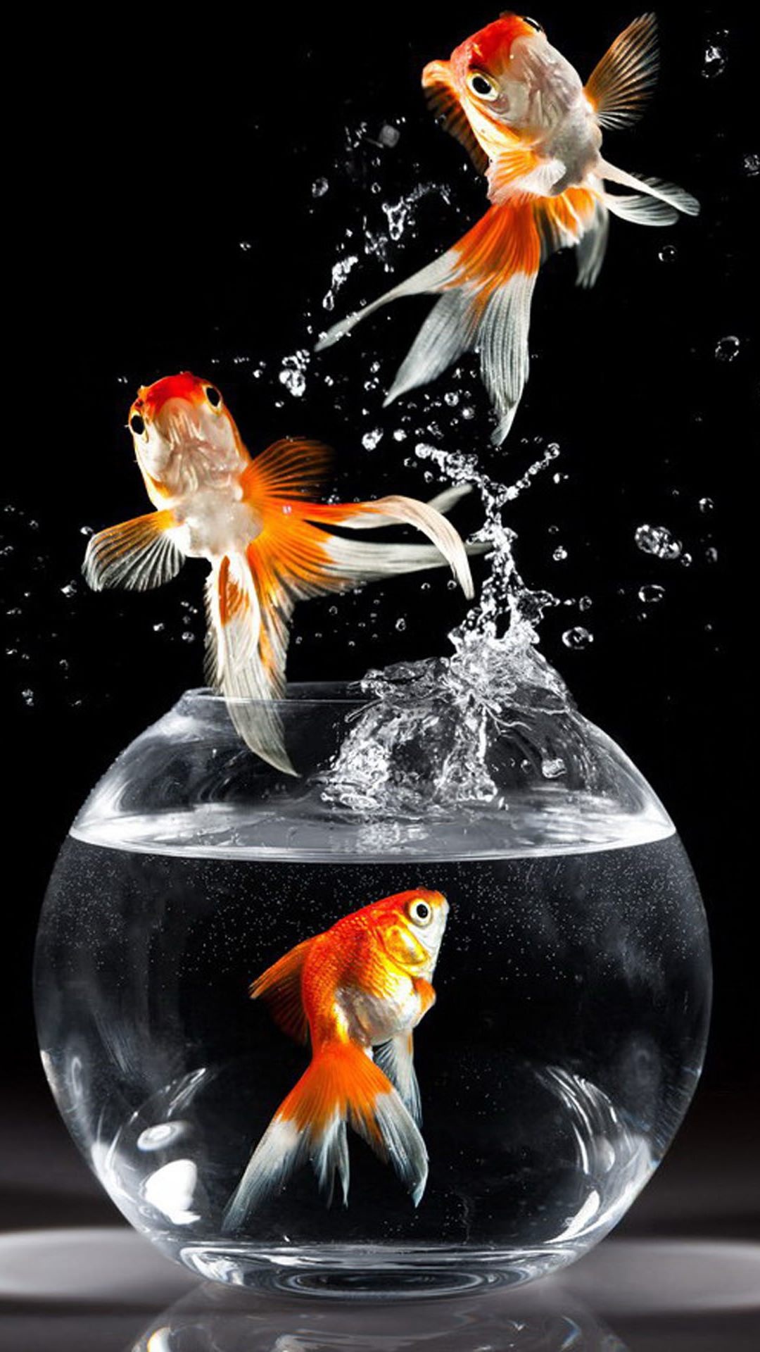 HD fish wallpaper, Artistic creation, Serene underwater, Sarah Thompson, 1080x1920 Full HD Handy