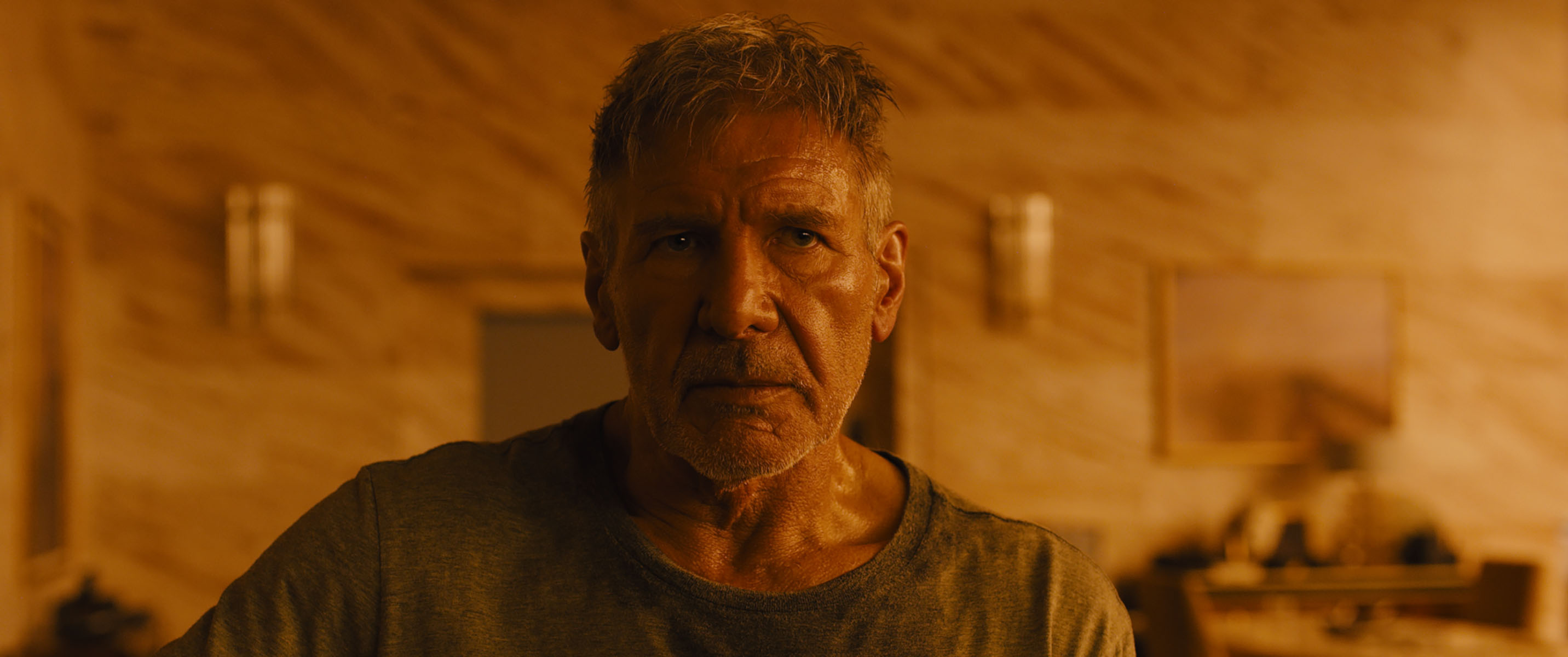 Harrison Ford: Played Rick Deckard in the dystopian science fiction film Blade Runner 2049 (2017). 2870x1200 Dual Screen Background.