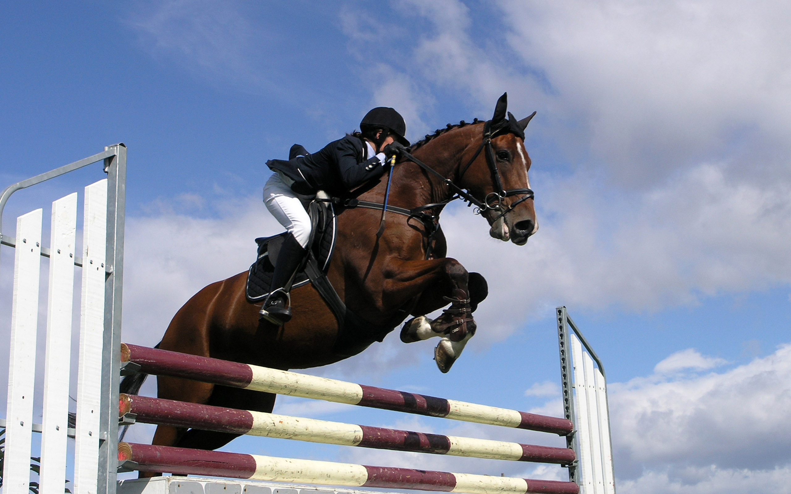 Jumping: Horse Show, Horse jumping obstacles, Horsewoman, Outdoor sports, Equestrian sports. 2560x1600 HD Wallpaper.