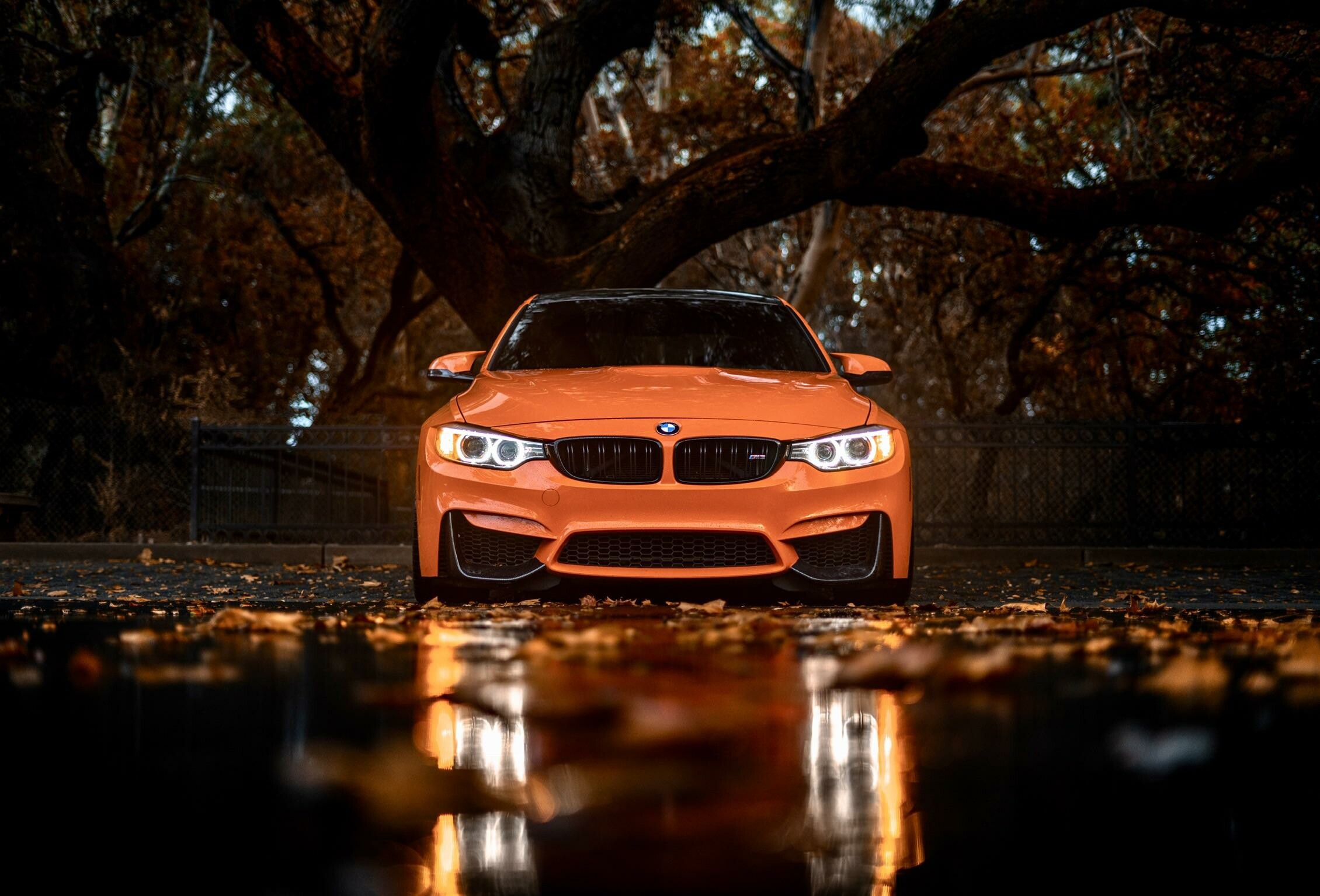 BMW: A modern and innovative carmaker, The slogan 'The Ultimate Driving Machine'. 2260x1540 HD Background.