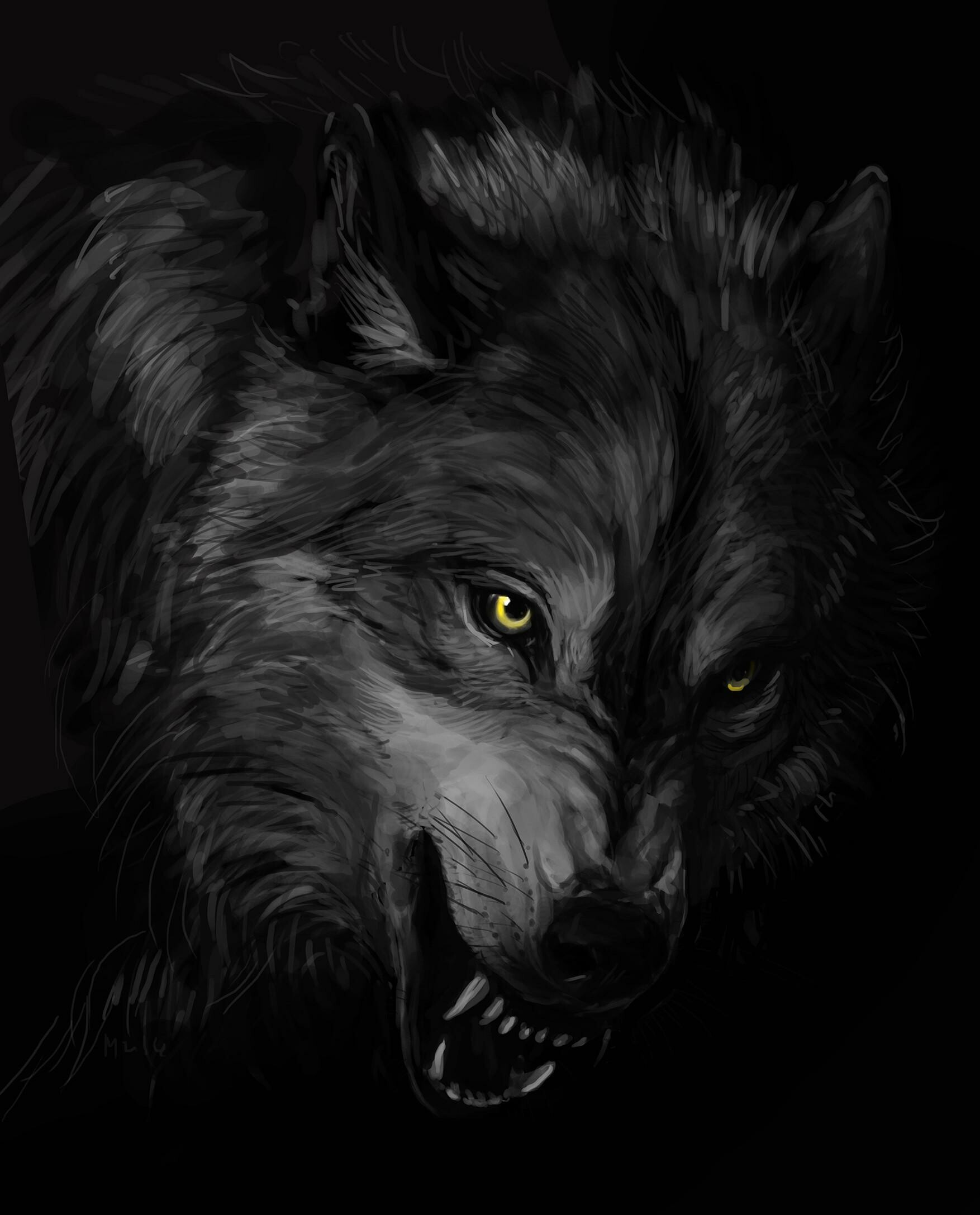 Wolf: Its fur provides better insulation than dog fur and does not collect ice when the warm breath is condensed against it. 1760x2180 HD Background.