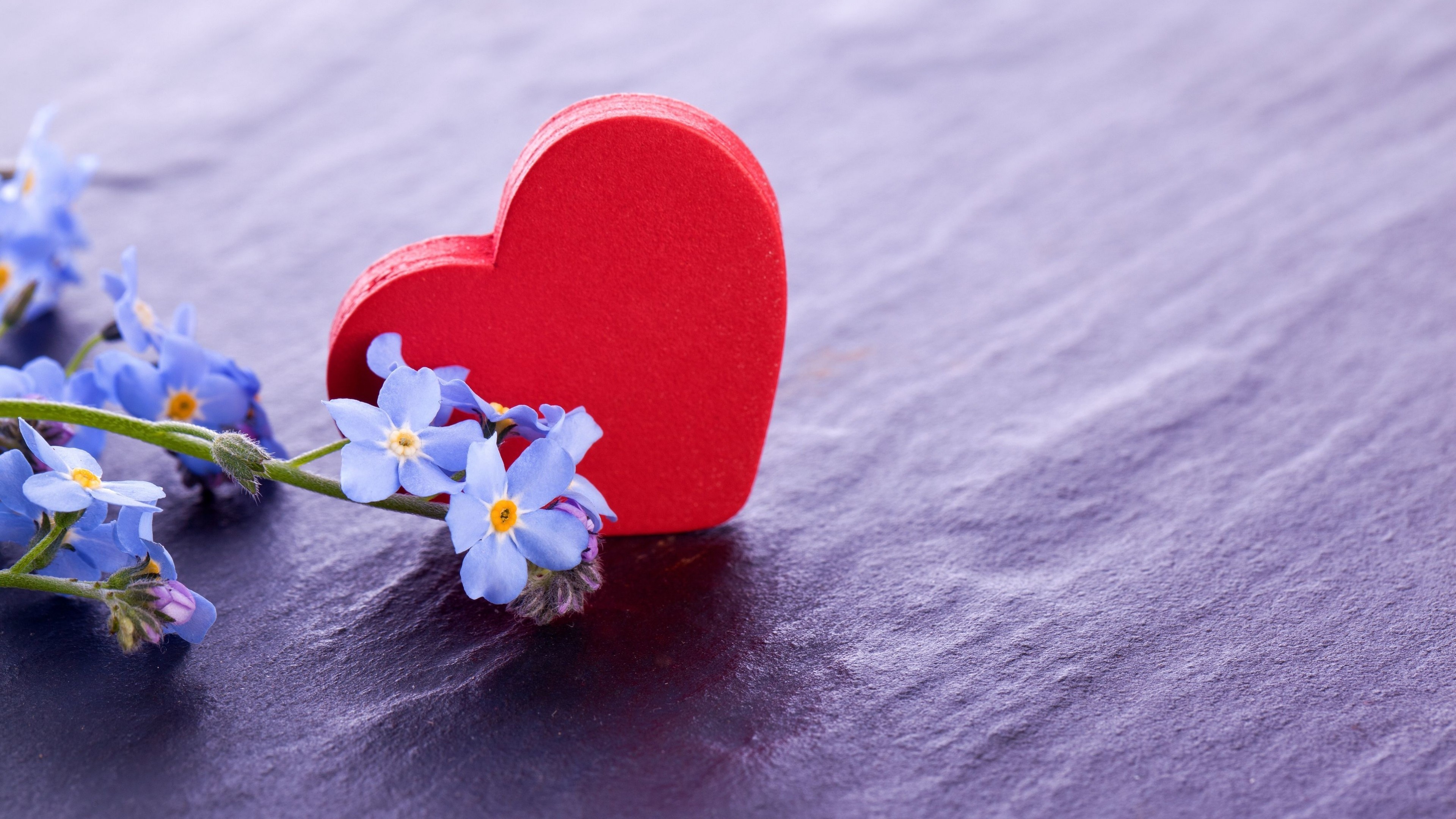 Valentine's Day, Love-filled wallpaper, Heart and flowers, Romantic holiday, 3840x2160 4K Desktop