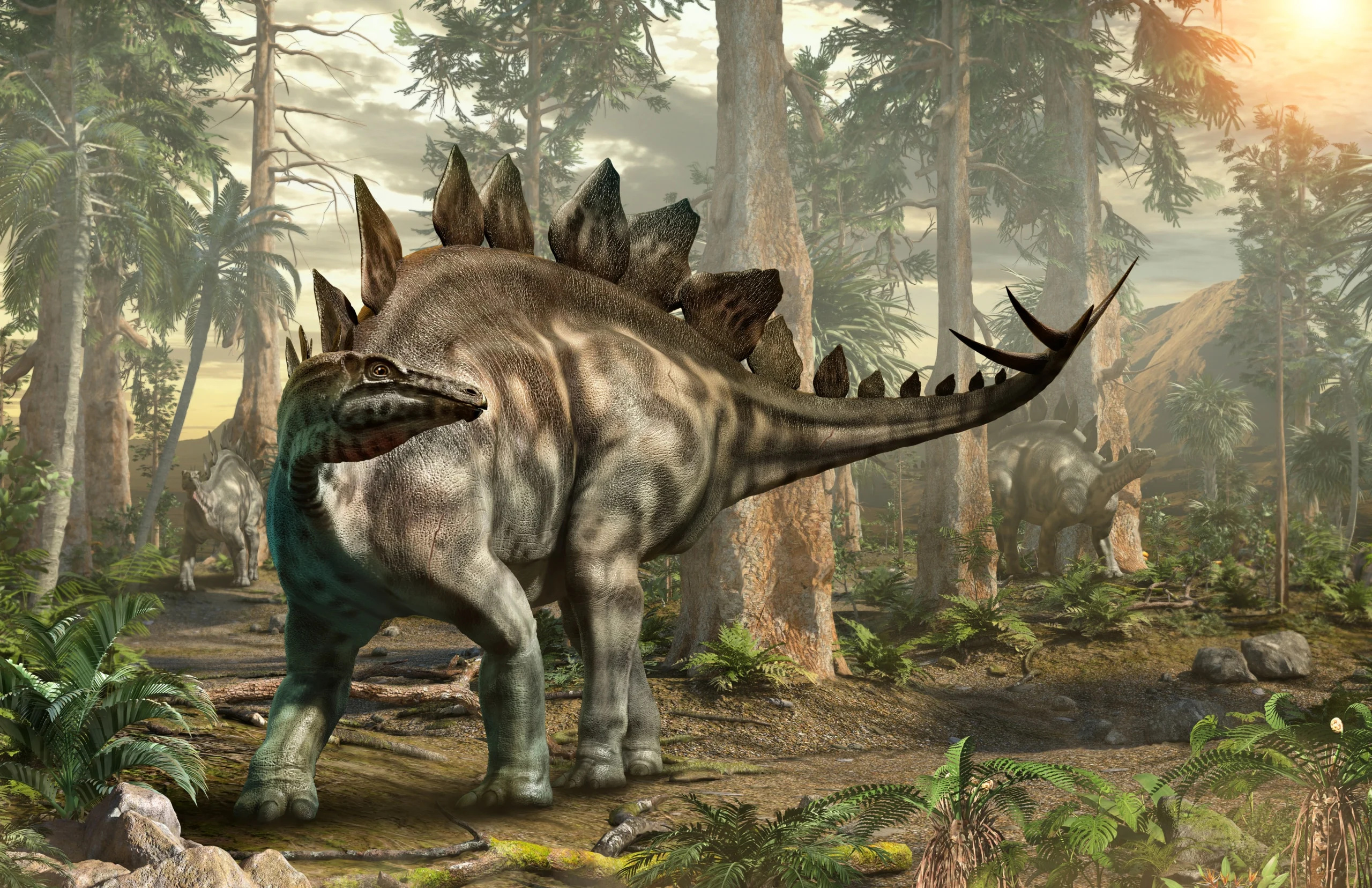 Stegosaurus steckbrief, Dinosaur features, Description, Prehistoric creature, 2560x1660 HD Desktop