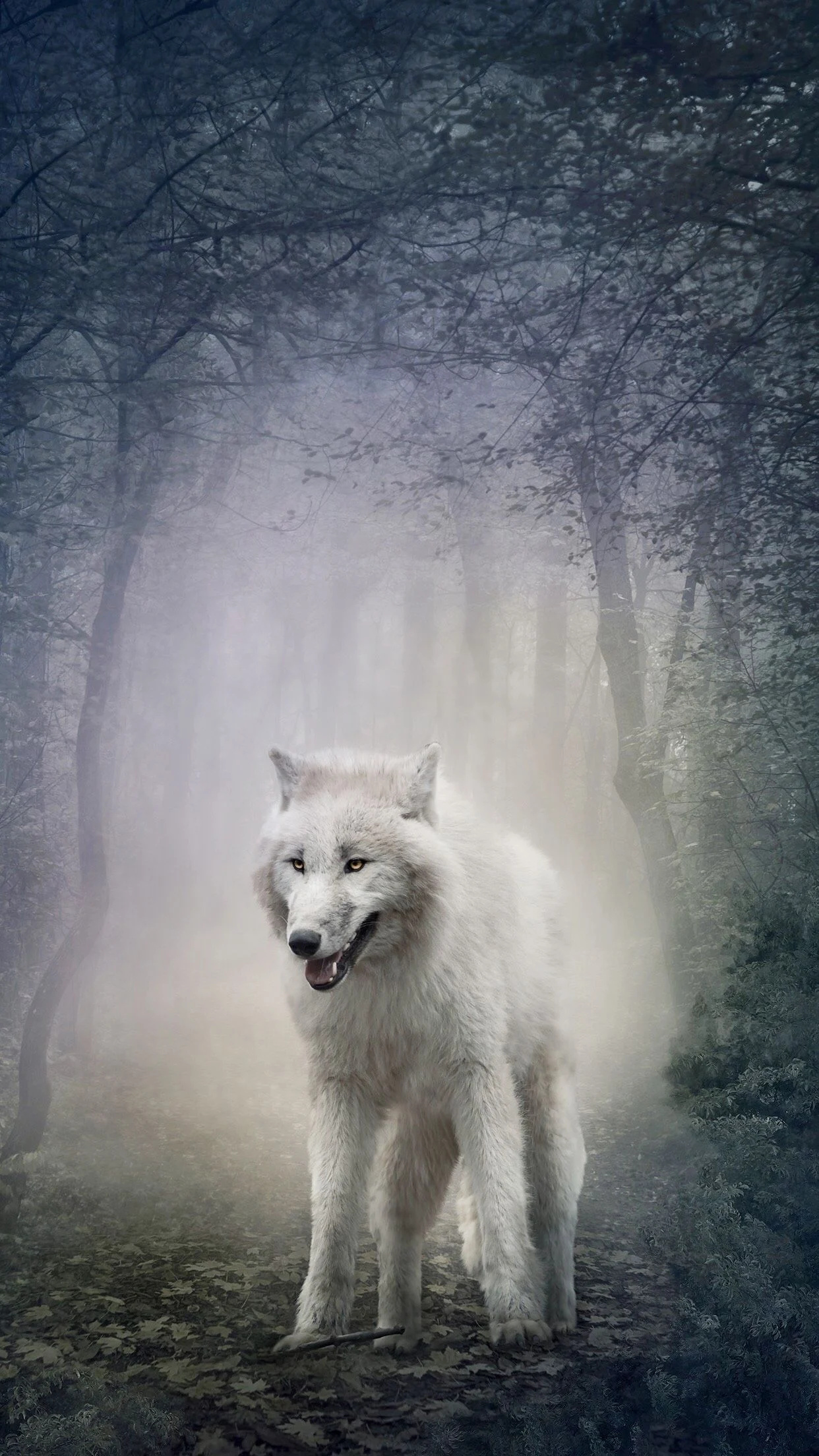 Arctic Wolf, White Wolf phone wallpapers, Arctic magic, Mobile beauty, 1250x2210 HD Phone