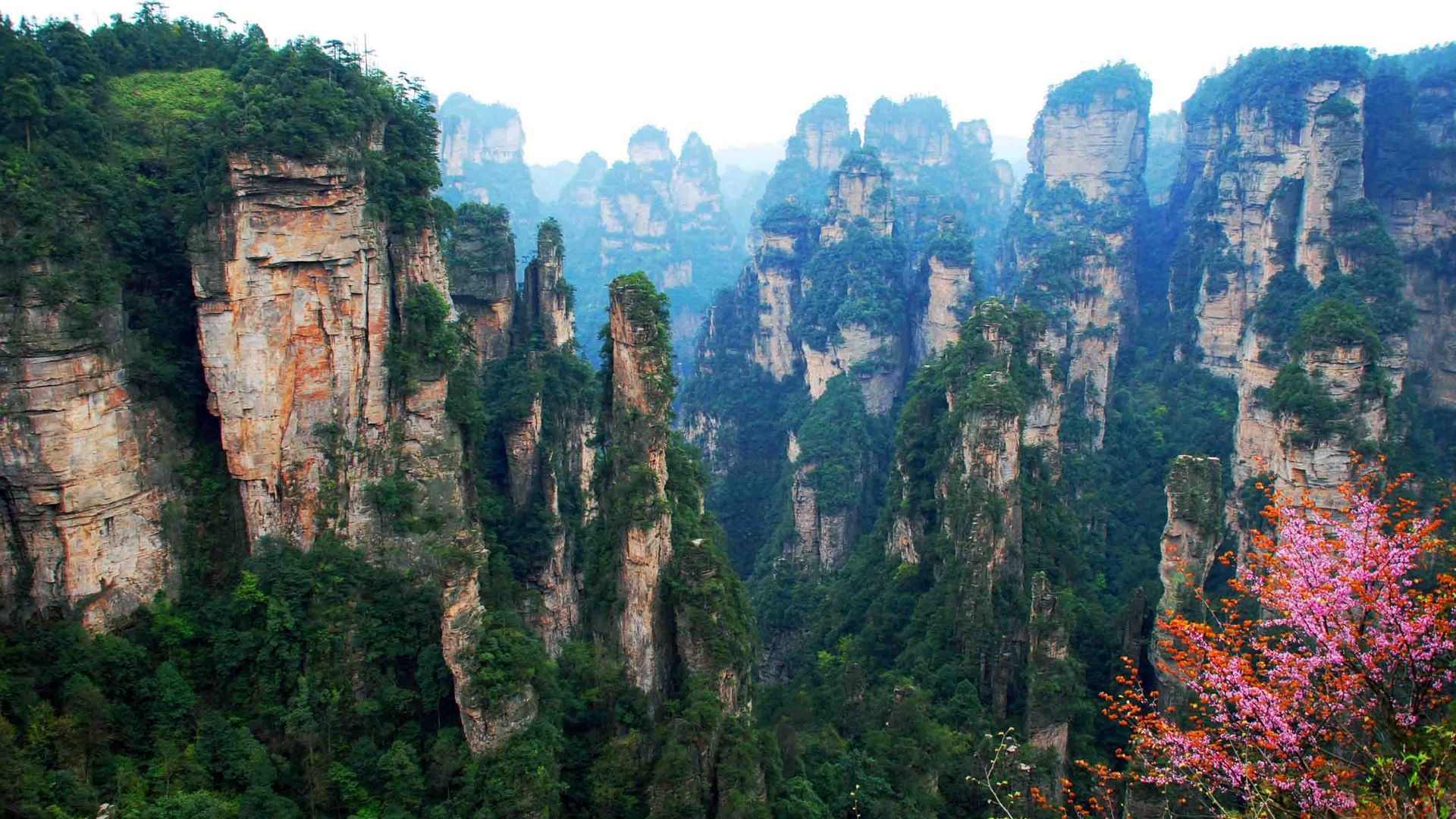 Zhangjiajie National Forest Park, Exquisite natural beauty, Welcome to China, Breathtaking sights, 1920x1080 Full HD Desktop