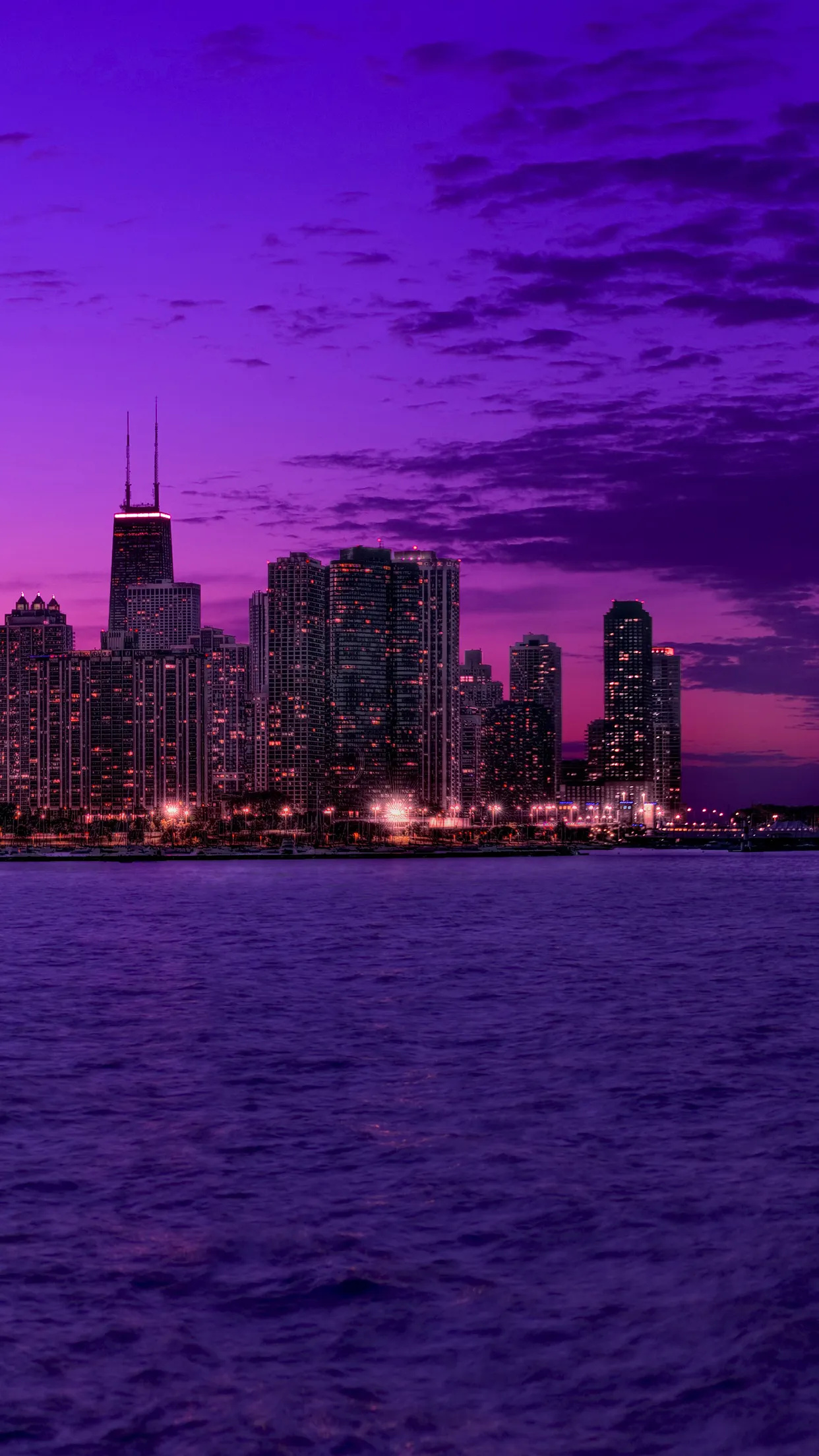 Illinois travel, Chicago skyline, USA landmarks, Street view, 1250x2210 HD Phone