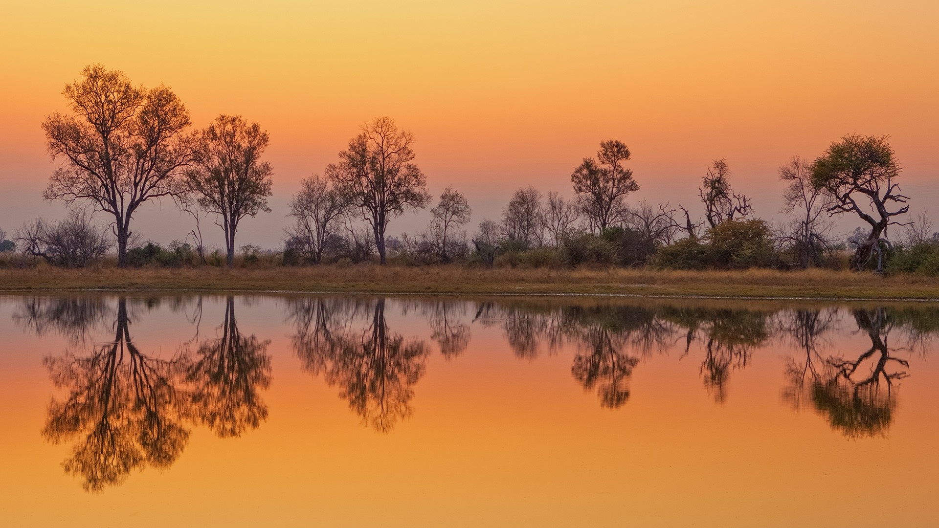 Dawn approaches Okavango Delta, Moremi Game Reserve, Windows spotlight, Botswana beauty, 1920x1080 Full HD Desktop