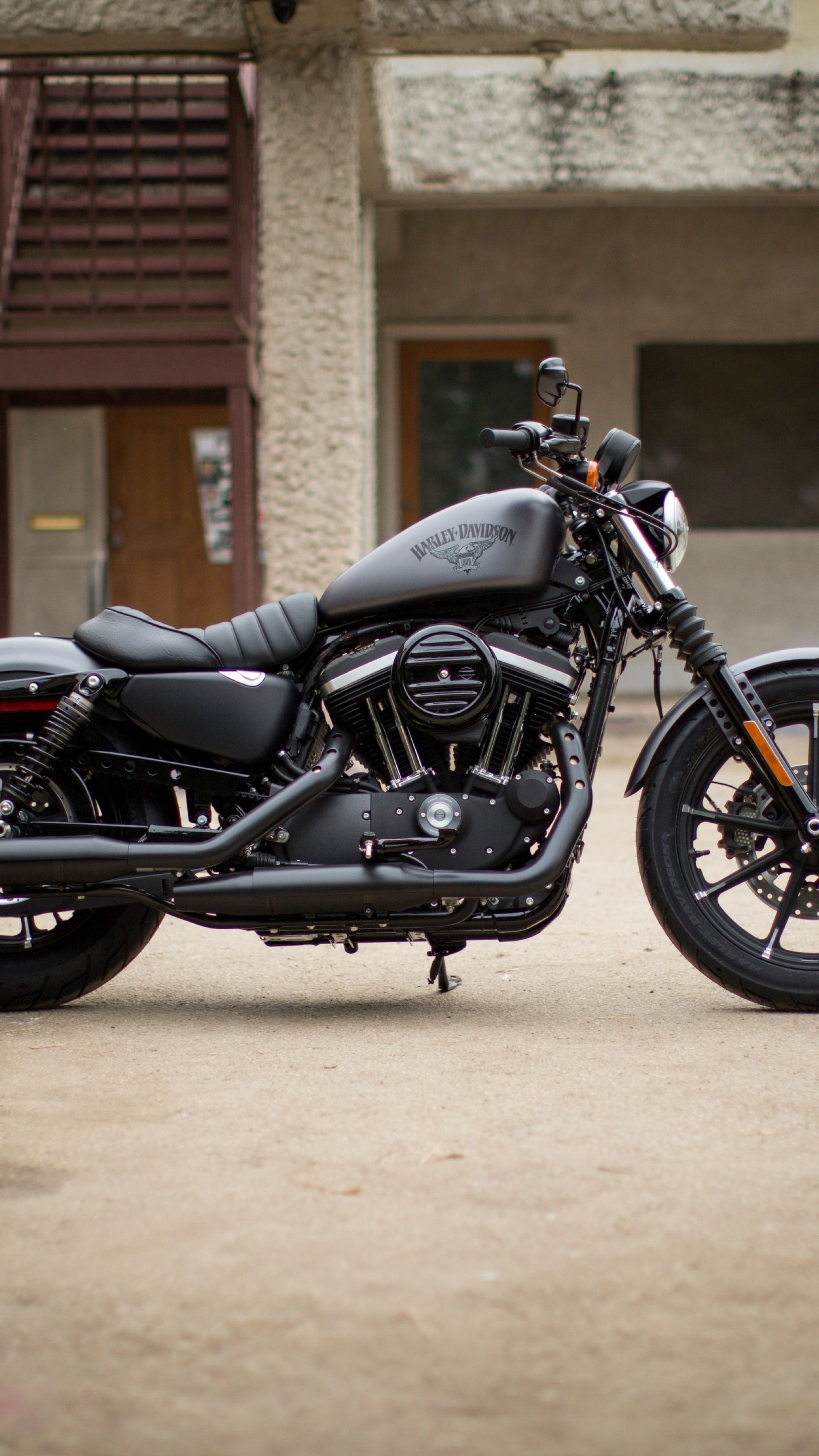 Harley-Davidson Iron 883, HD iPhone wallpapers, Motorcycle aesthetic, Iconic brand, 2160x3840 4K Handy