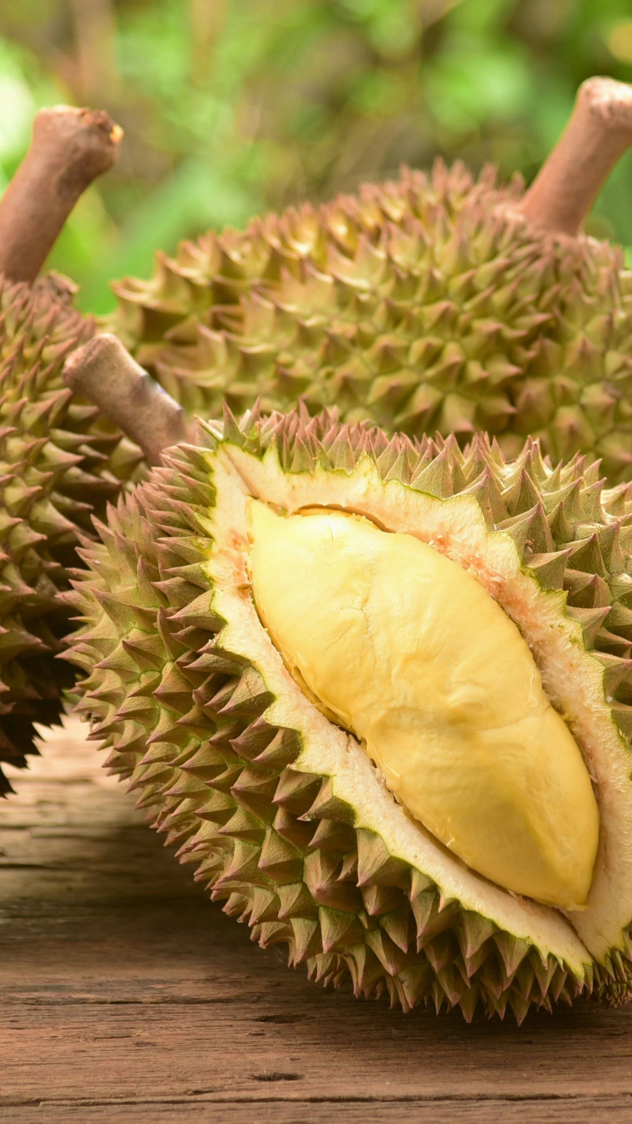 Durian: The edible fruit of several tree species belonging to the genus Durio. 2160x3840 4K Background.