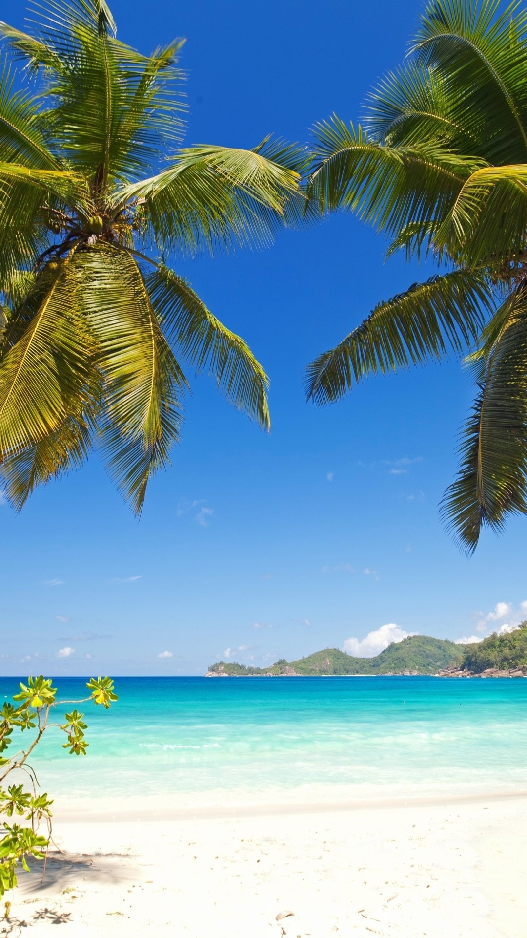 Earth beach, Grenada, Travels expert, Caribbean, 1080x1920 Full HD Handy