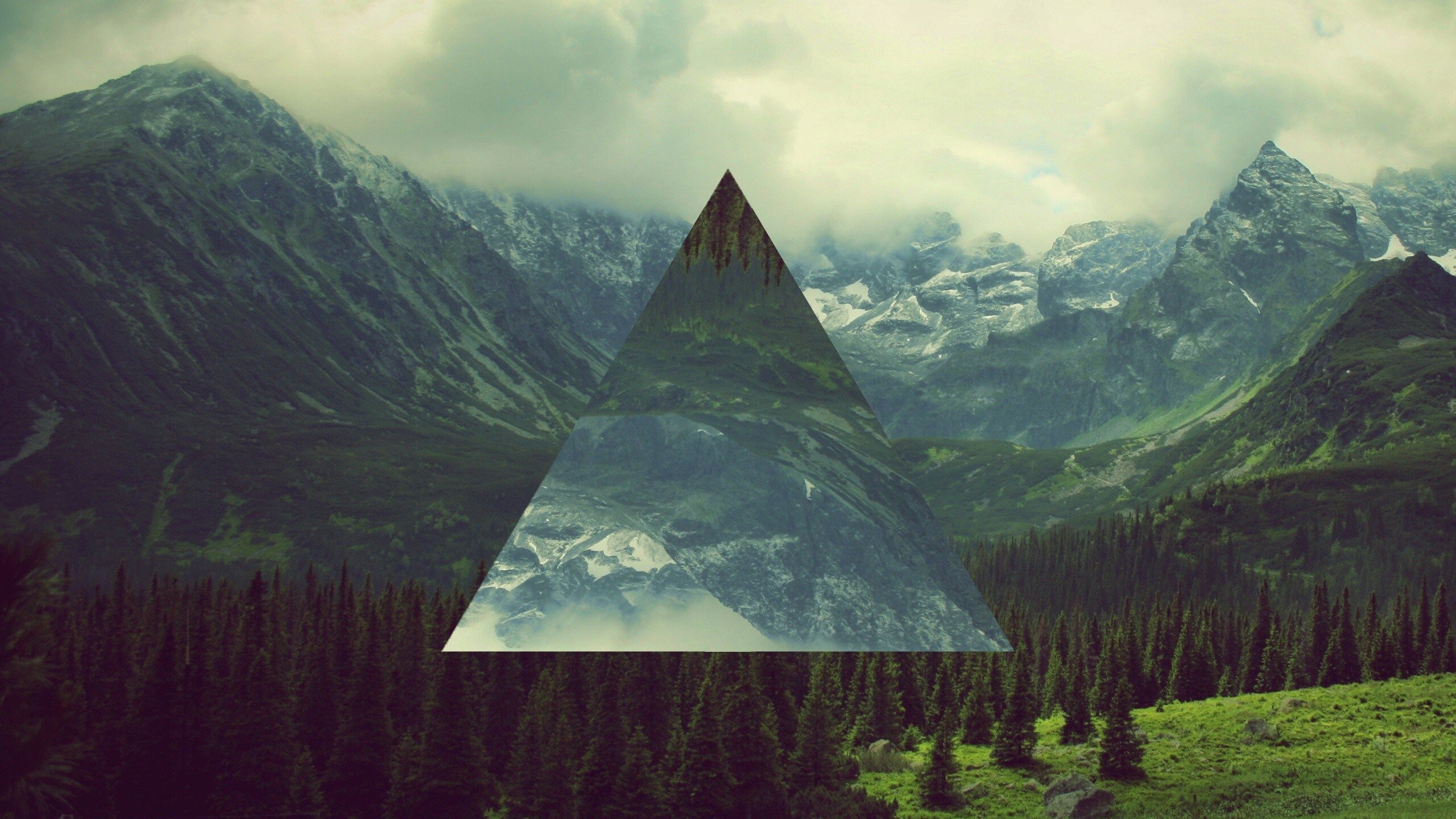 Triangle: A closed figure with three sides, Landscape, Forest. 2560x1440 HD Wallpaper.