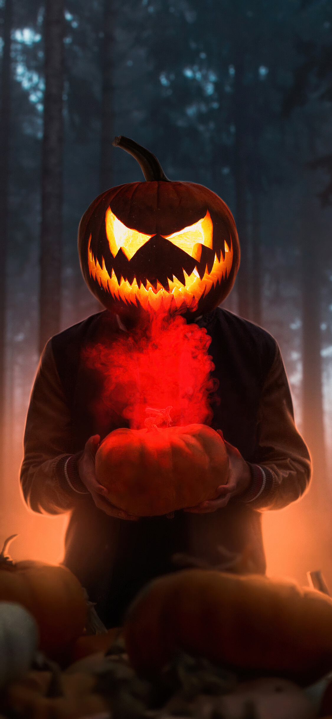 Halloween: The time when ghosts and witches can be seen, Allhallows Eve. 1130x2440 HD Wallpaper.