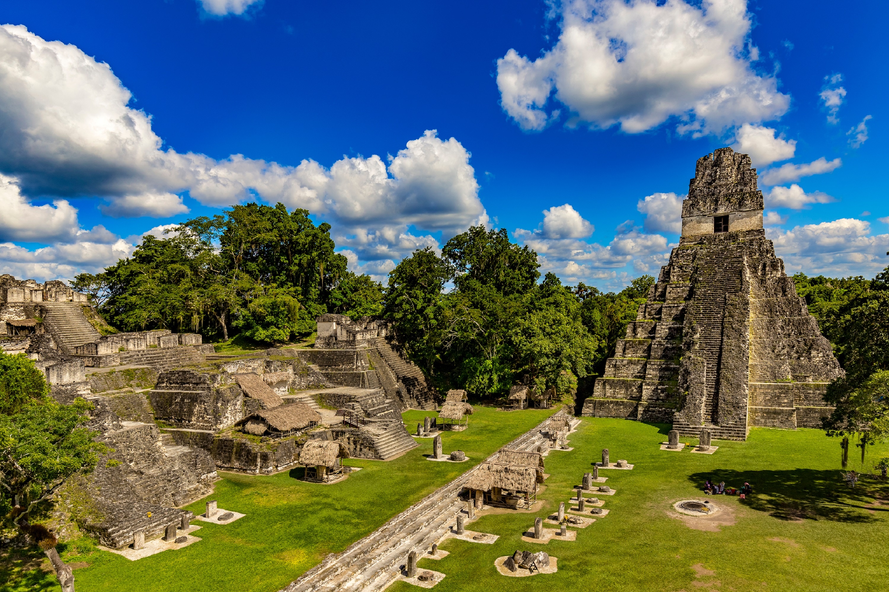 Vogelbeobachtung in Guatemalas Tikal-Nationalpark, 3000x2000 HD Desktop