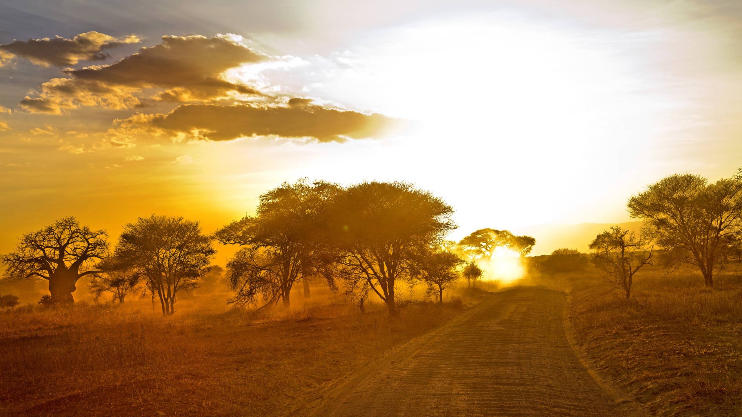 Africa, Beautiful wallpapers, Nature's wonders, 2560x1440 HD Desktop