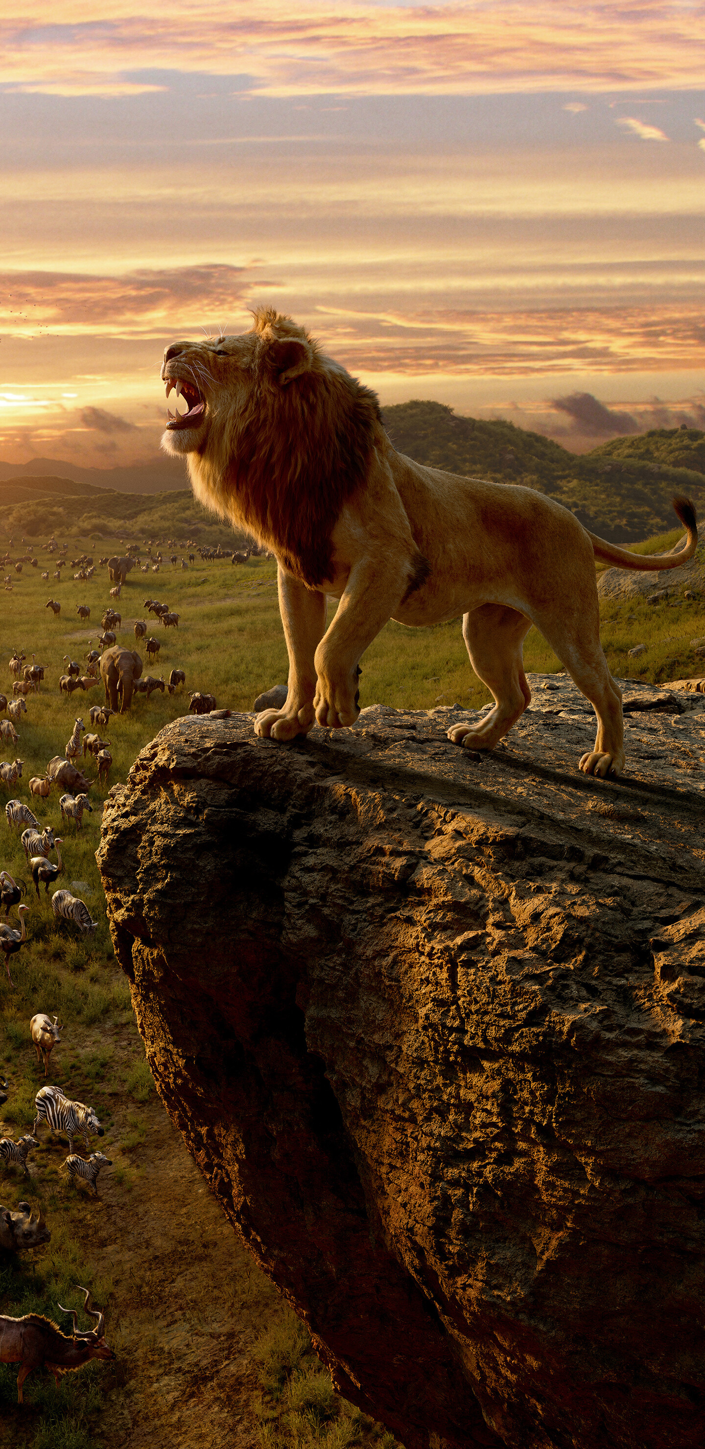The Lion King: Disney's film journeys to the African savanna where a future king is born. 1440x2960 HD Wallpaper.