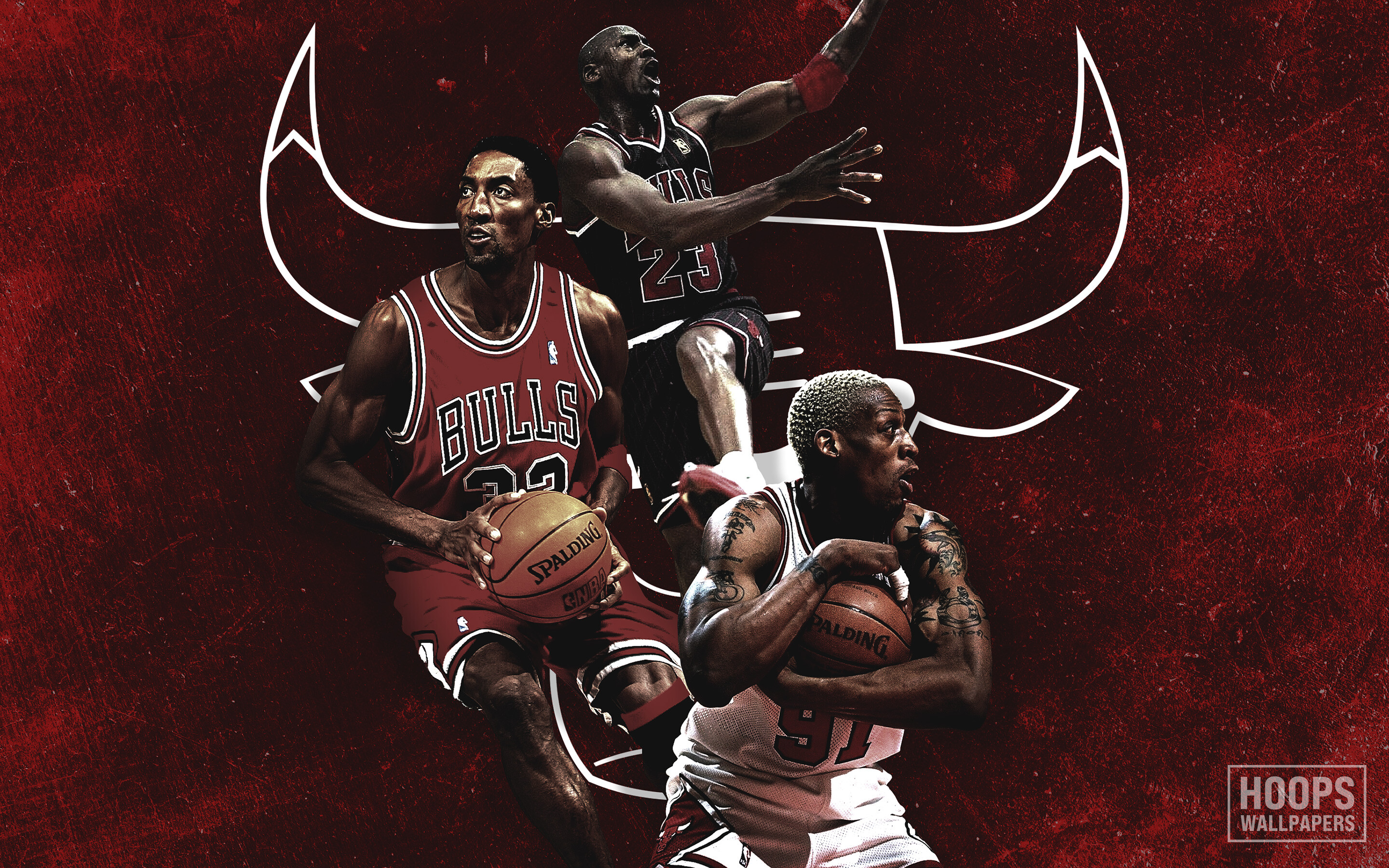 Michael Jordan: Scottie Pippen, Dennis Rodman, Chicago Bulls, MJ. 2880x1800 HD Wallpaper.