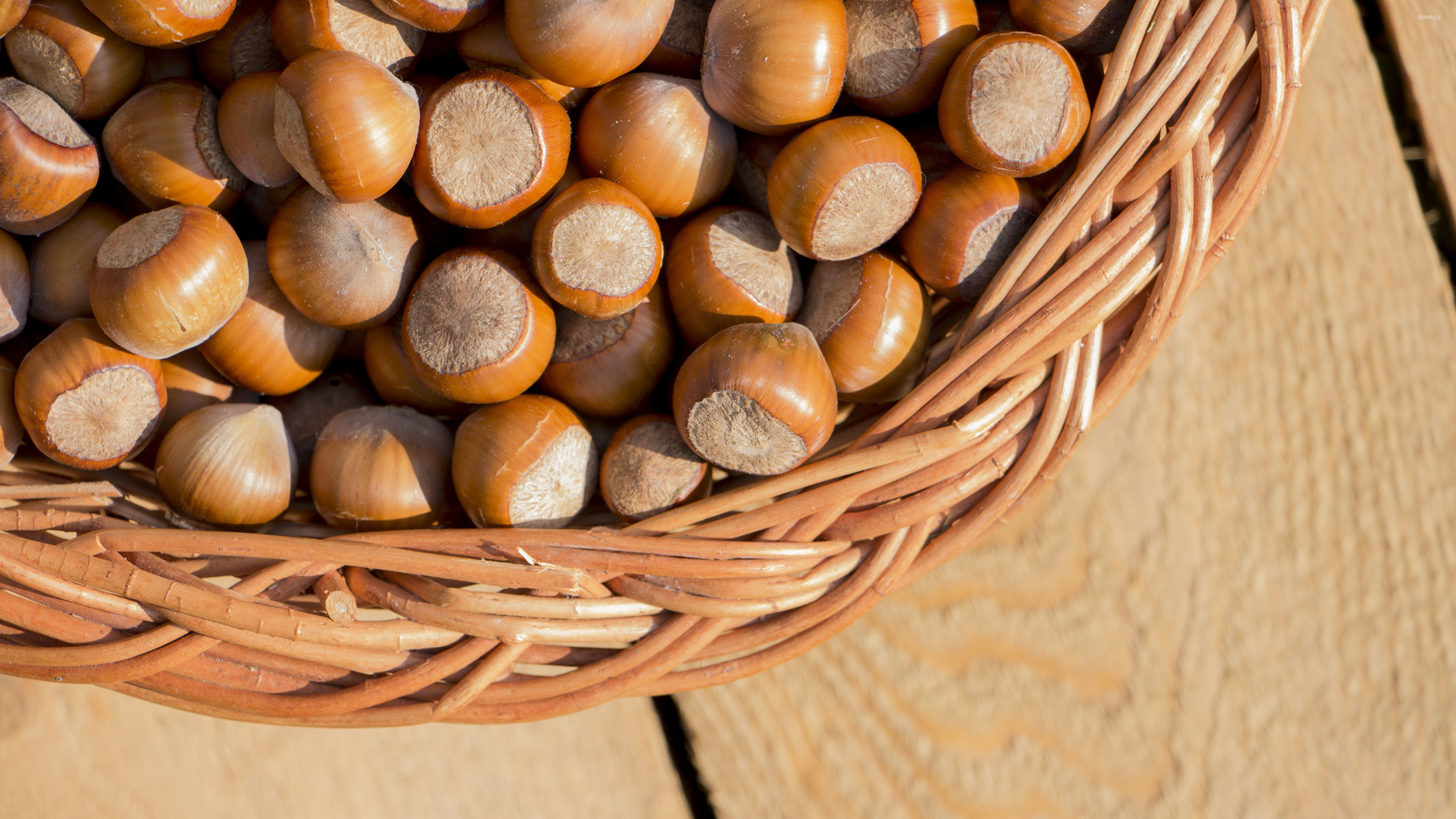 Nuts: Hazelnuts, Encased in a smooth, hard brown shell. 3840x2160 4K Wallpaper.