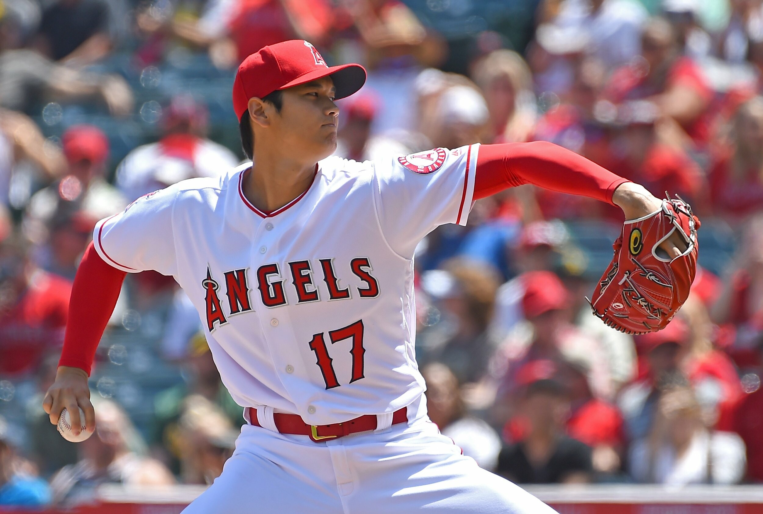 Shohei Ohtani: He became the first player in the modern era to qualify for both the hitting and pitching leaderboards in one season. 2500x1690 HD Background.