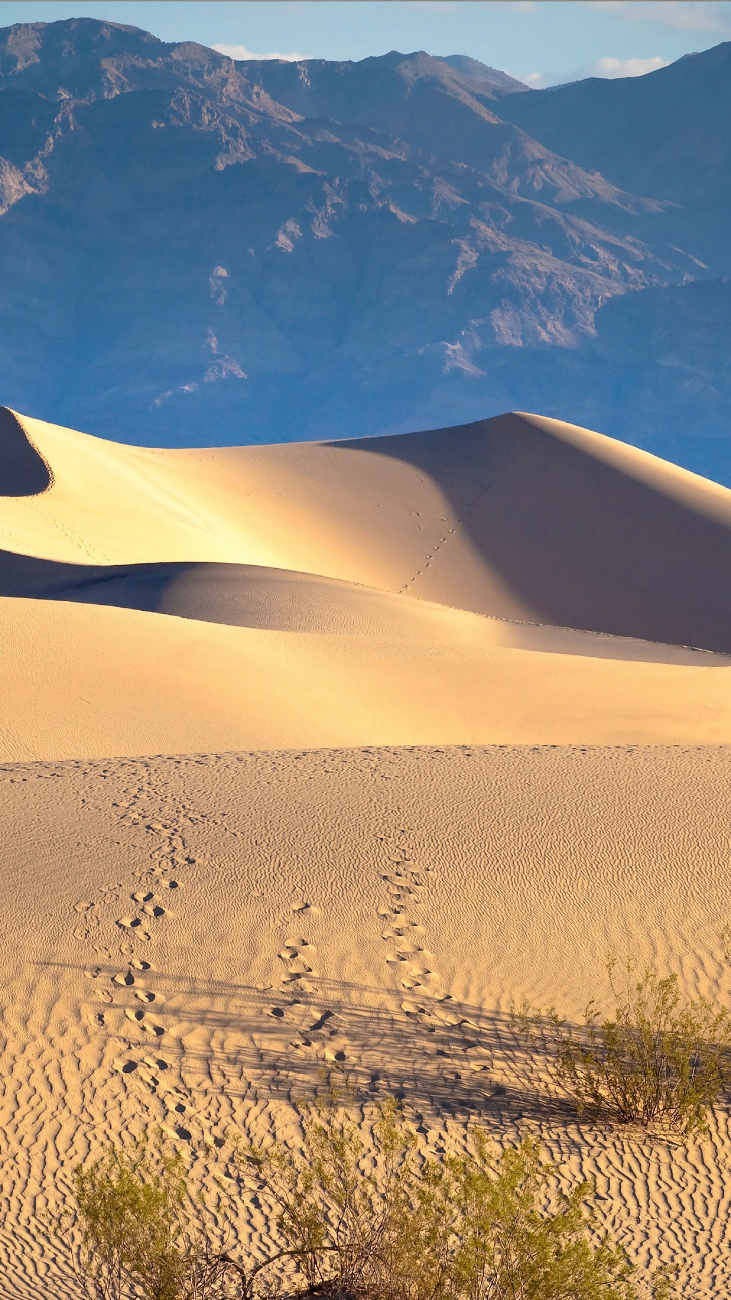 Desert: Death Valley, USA, Sand, Mountains. 1440x2560 HD Wallpaper.