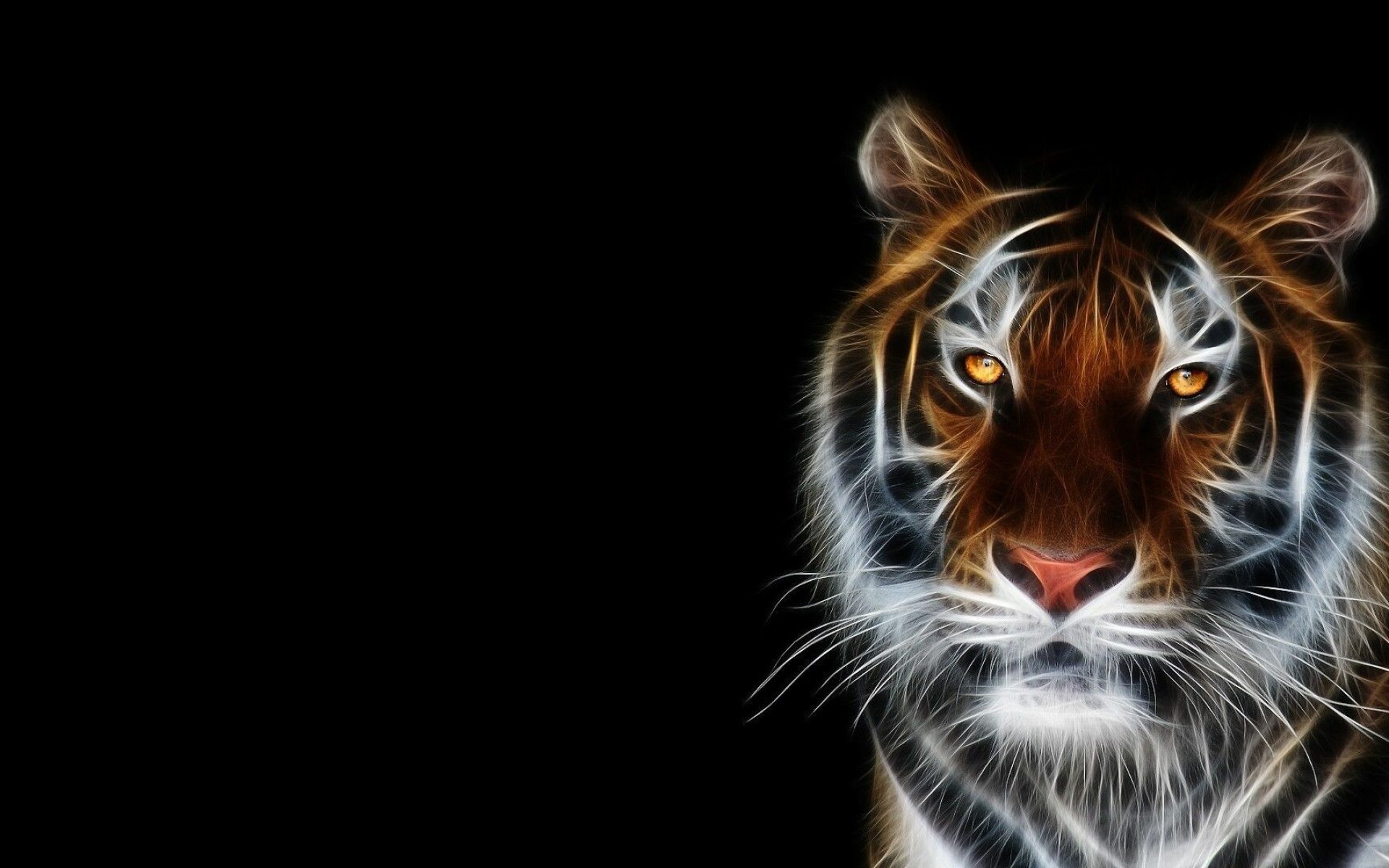Tiger: Tigers are adept swimmers and have even been recorded hunting in the wild. 1920x1200 HD Background.