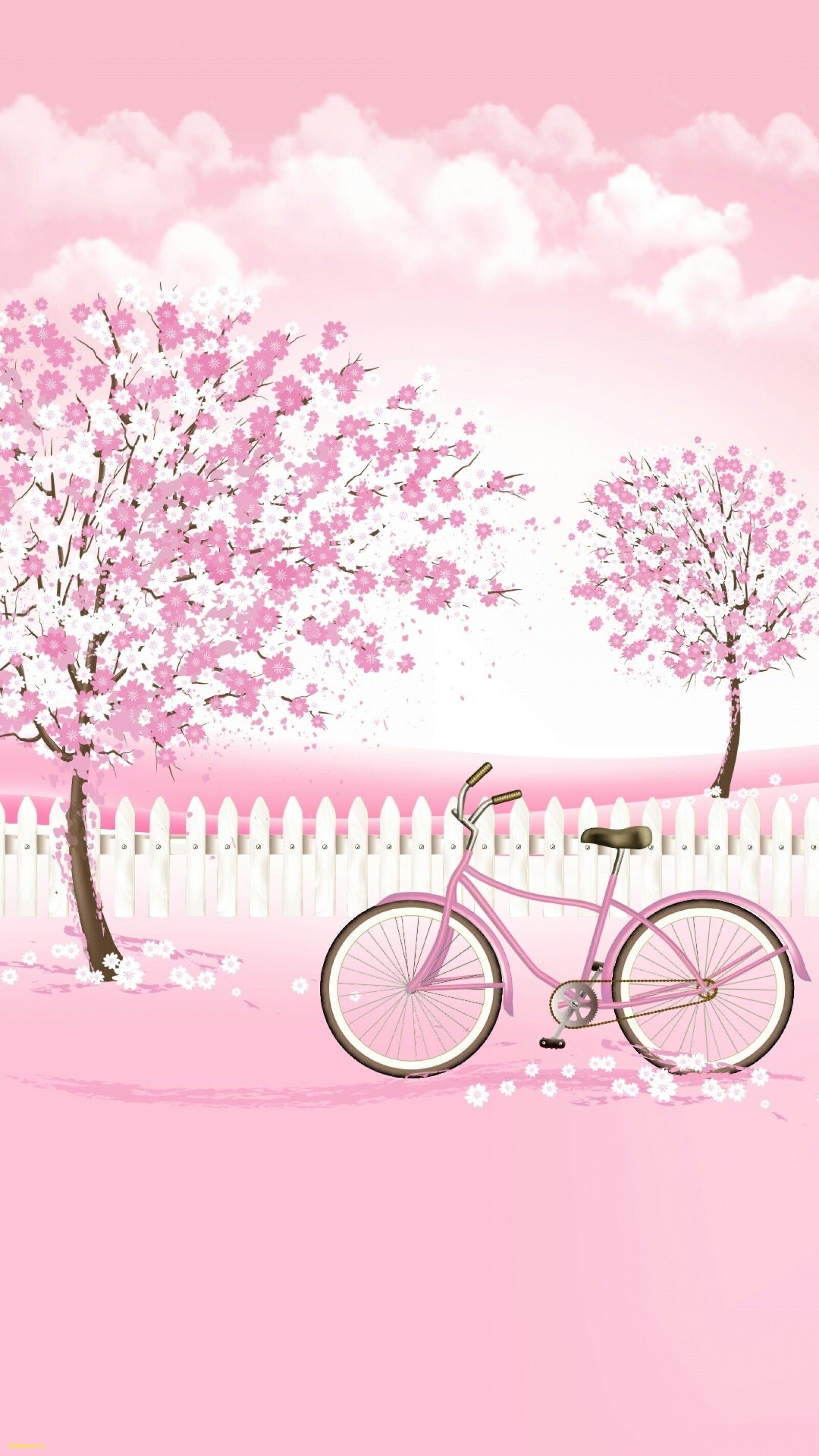 Girly: A cherry blossom, Japanese cherry, Sakura, Pink flowering tress, Bicycle. 1600x2850 HD Wallpaper.