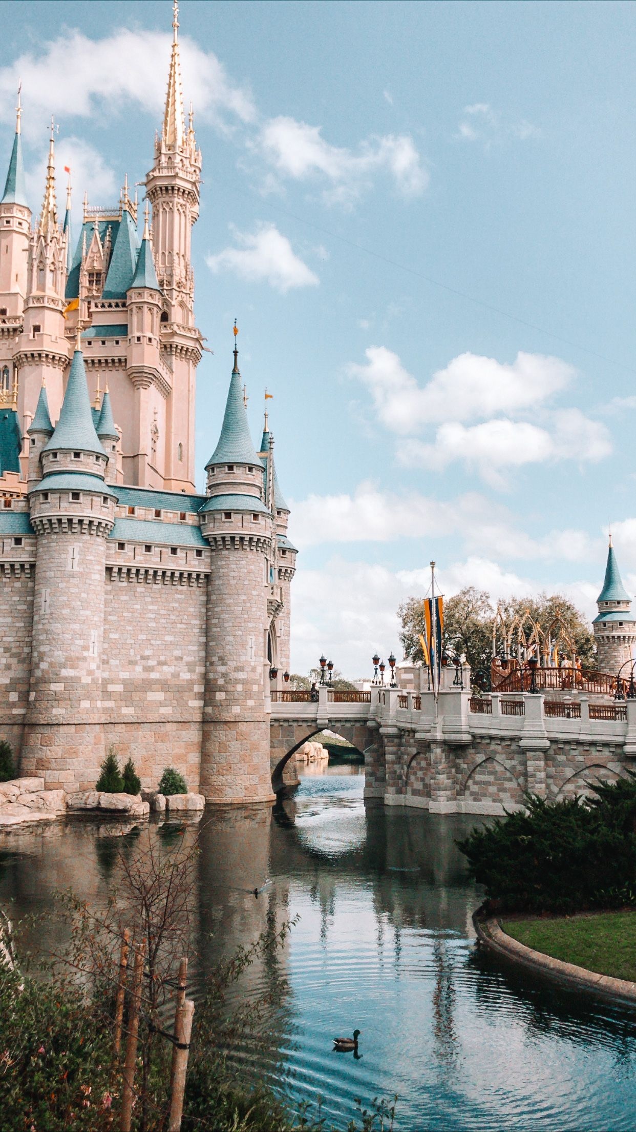 Walt Disney World Resort, Magic Kingdom, Disney aesthetic, Travels, 1250x2210 HD Phone