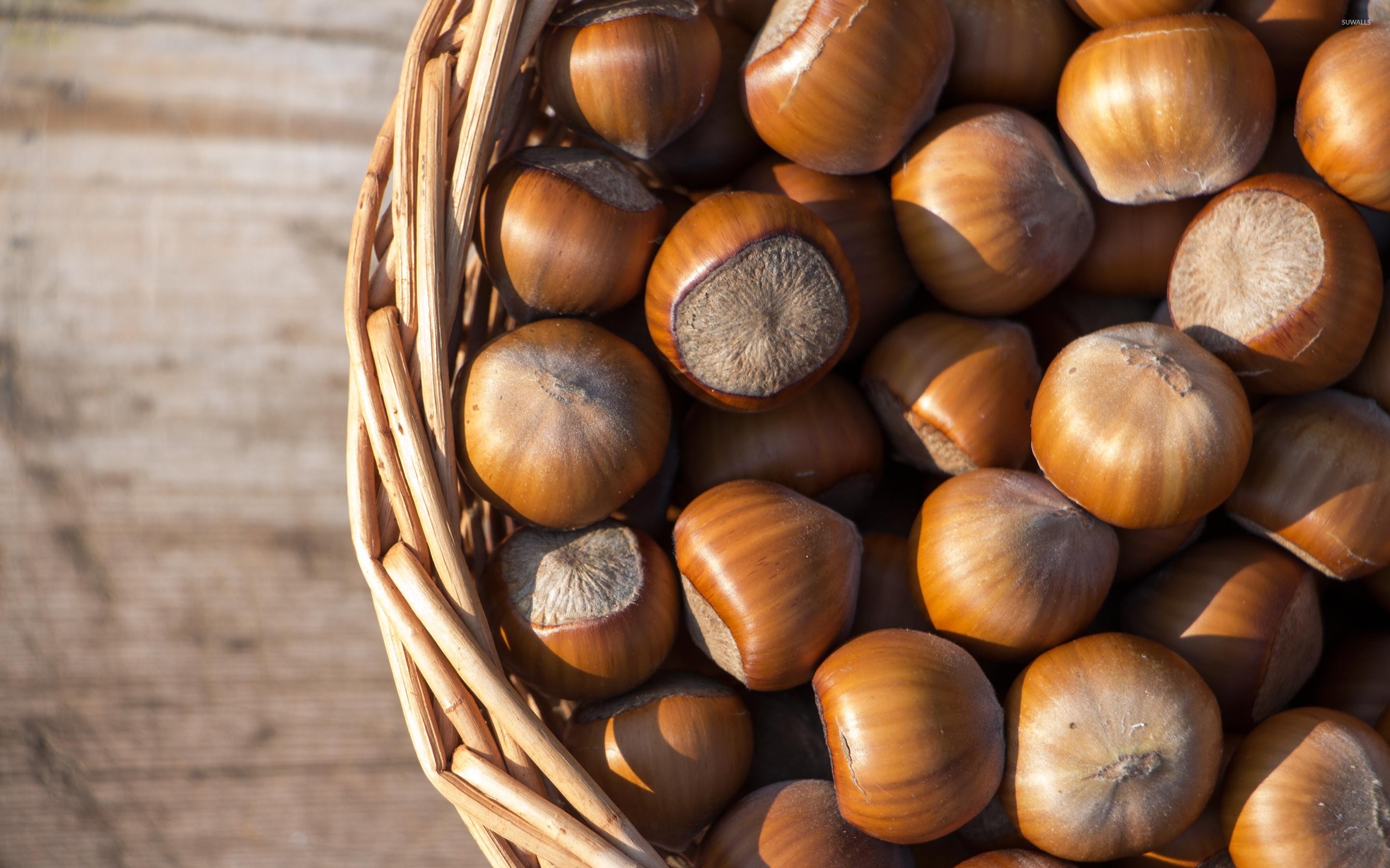 Hazelnuts: Have the sweet-tasting, cream-colored kernels with a pointed tip. 2880x1800 HD Wallpaper.