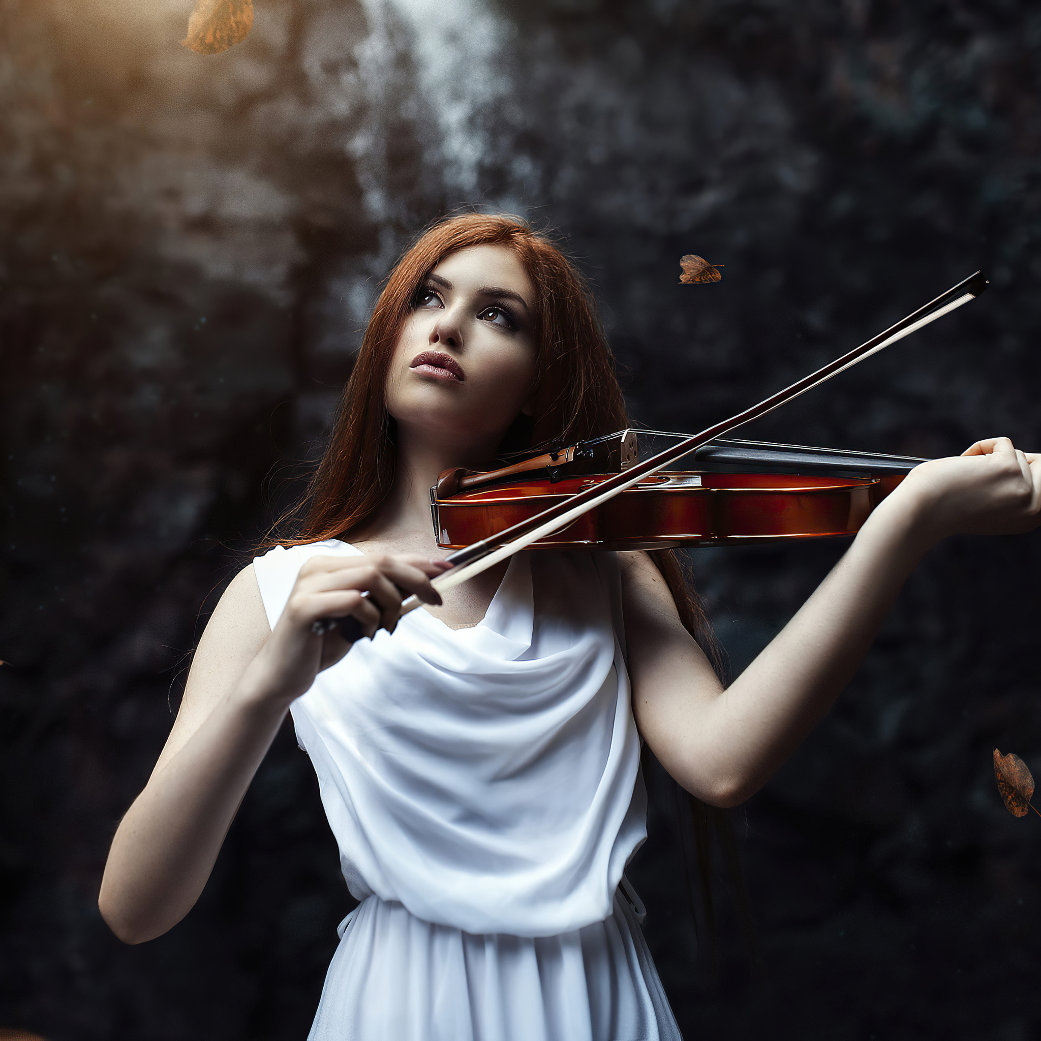 Violin: Classical Musical Instrument, Outdoor Concert, Violinist, Musician. 2050x2050 HD Wallpaper.