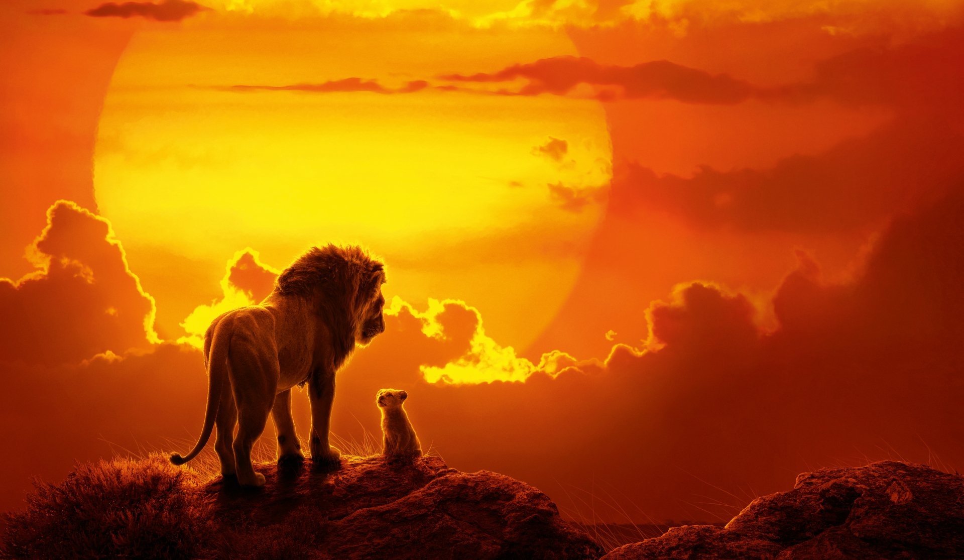 The Lion King 2019 movie, Impressive wallpapers, HD images, Majestic visuals, 1920x1120 HD Desktop