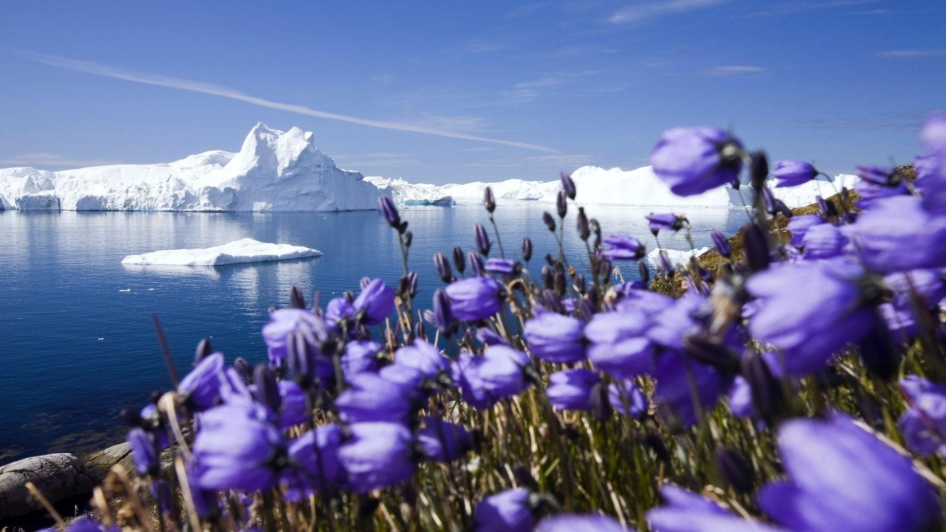 Greenland: The island's national anthem is "Nunarput utoqqarsuanngoravit". 1920x1080 Full HD Background.