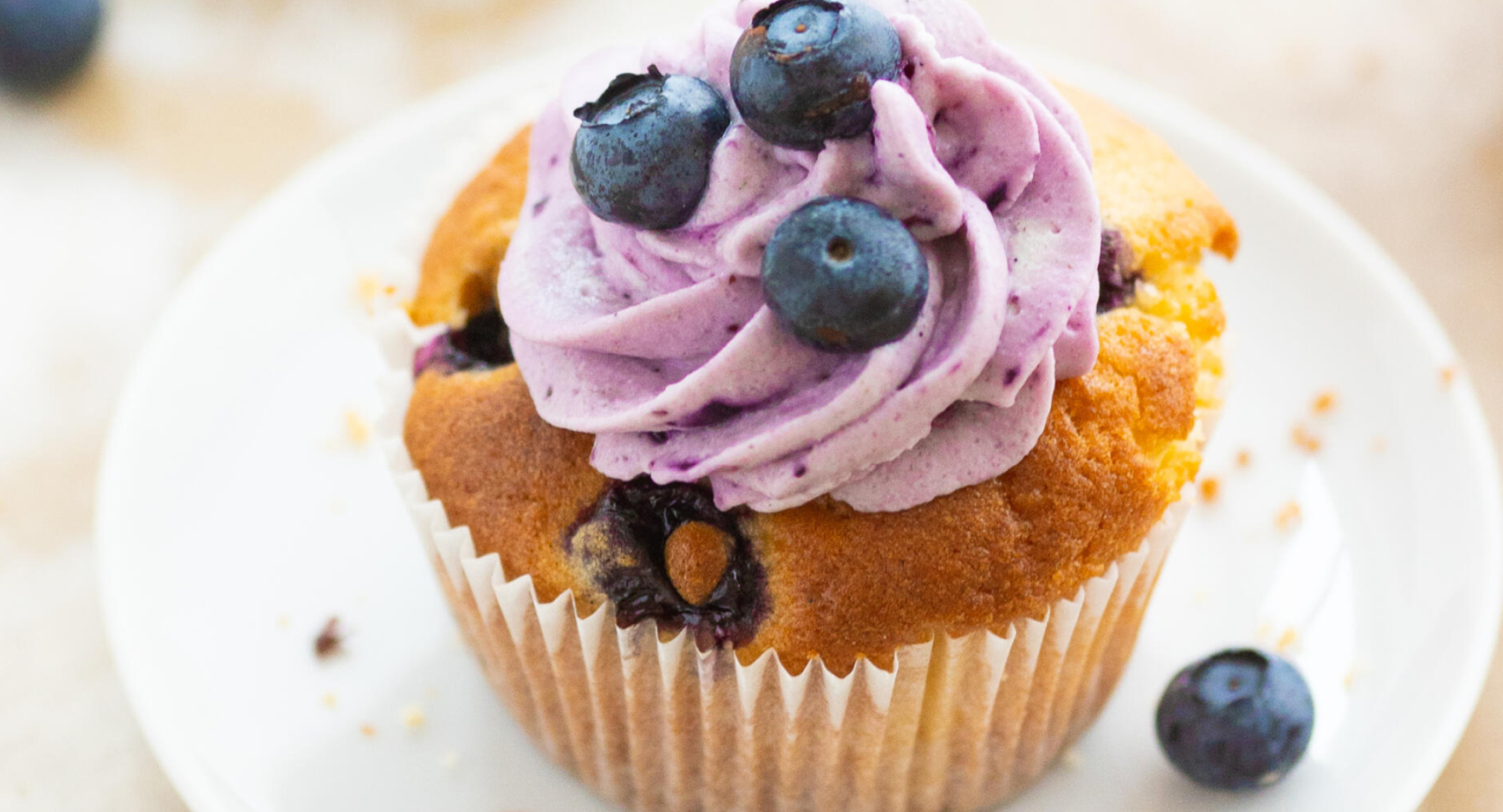 Juicy blueberry cupcakes, Scrumptious baking, Happiness in every bite, Berry delight, 2560x1390 HD Desktop