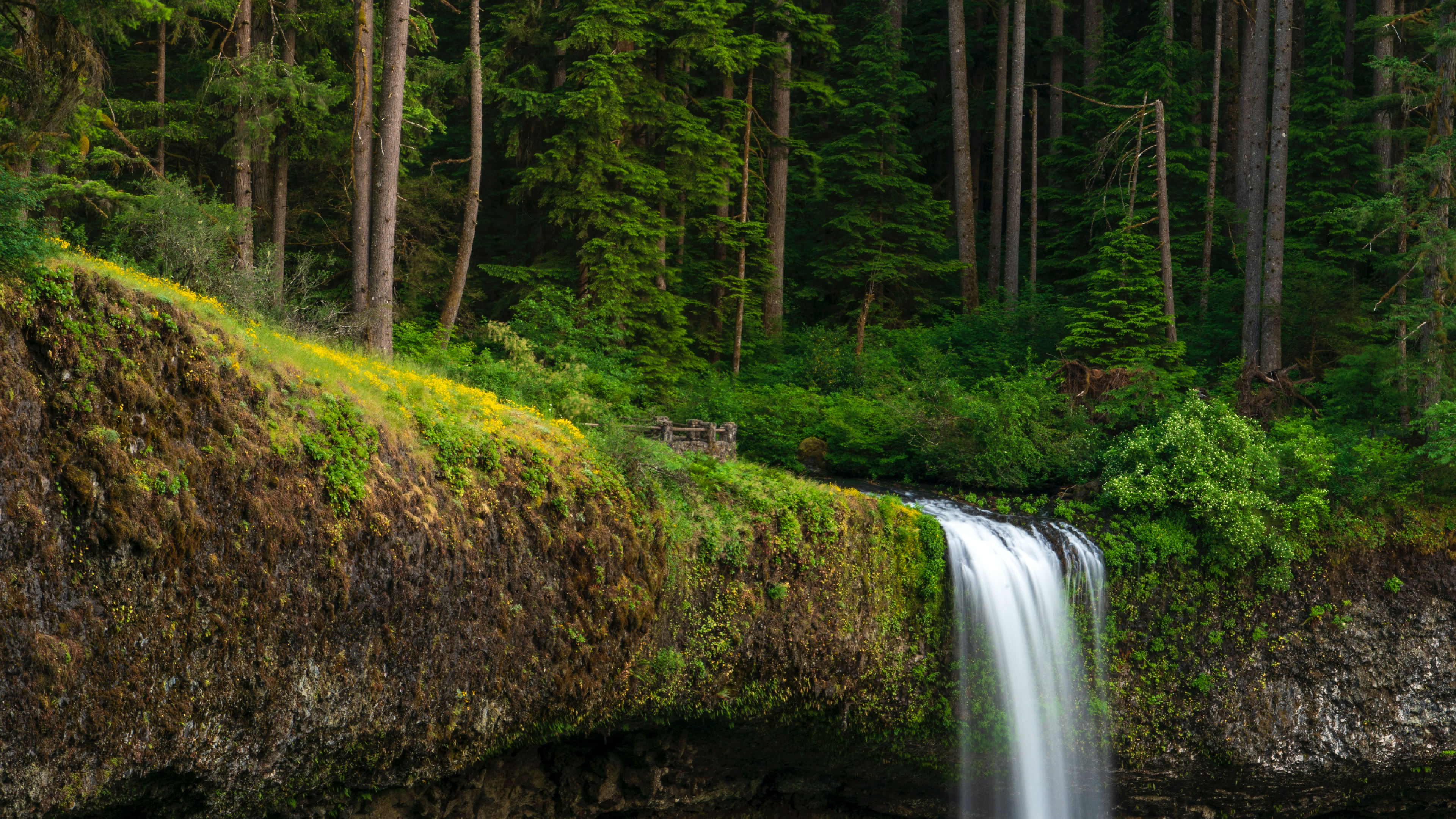 United States Oregon, Waterfall moss plants, 3840x2160 4K Desktop