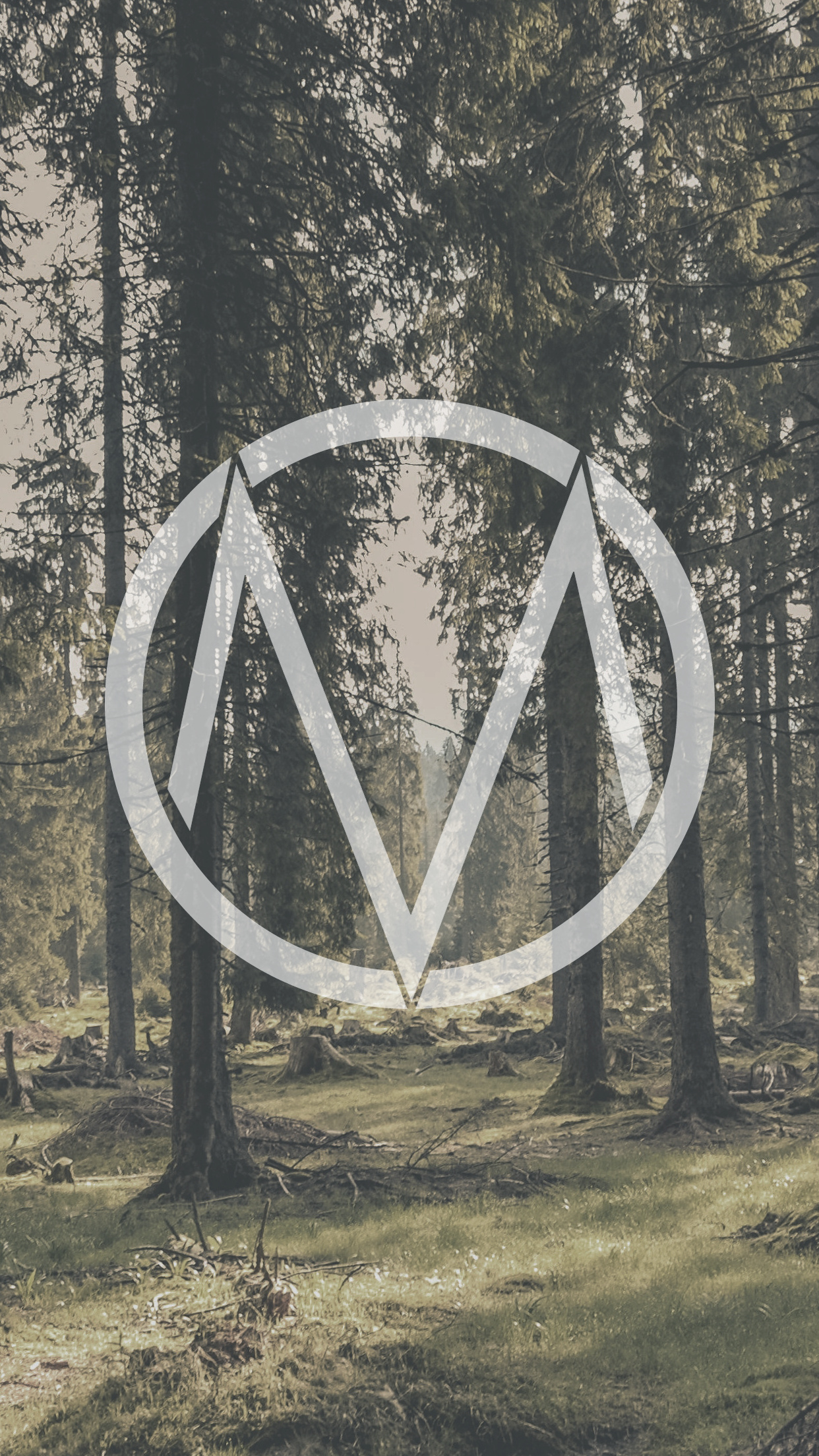The Maine, iPhone wallpapers, Music backgrounds, 1250x2210 HD Handy