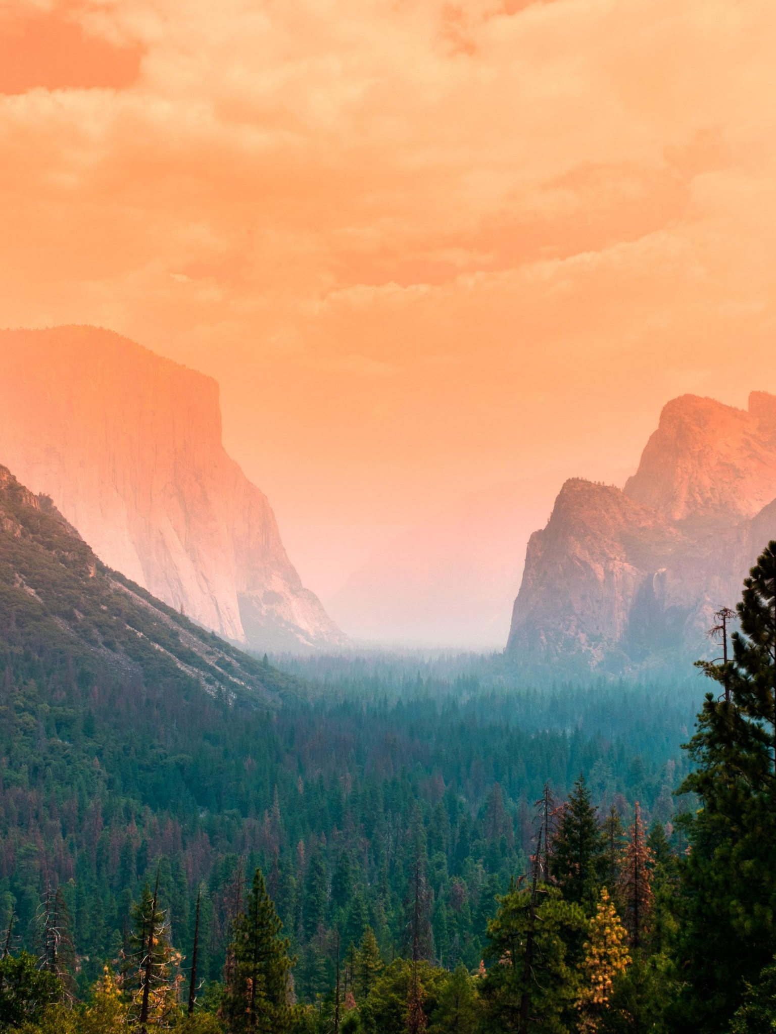 Yosemite National Park, Yosemite Valley, Summer, Nature, 1540x2050 HD Phone