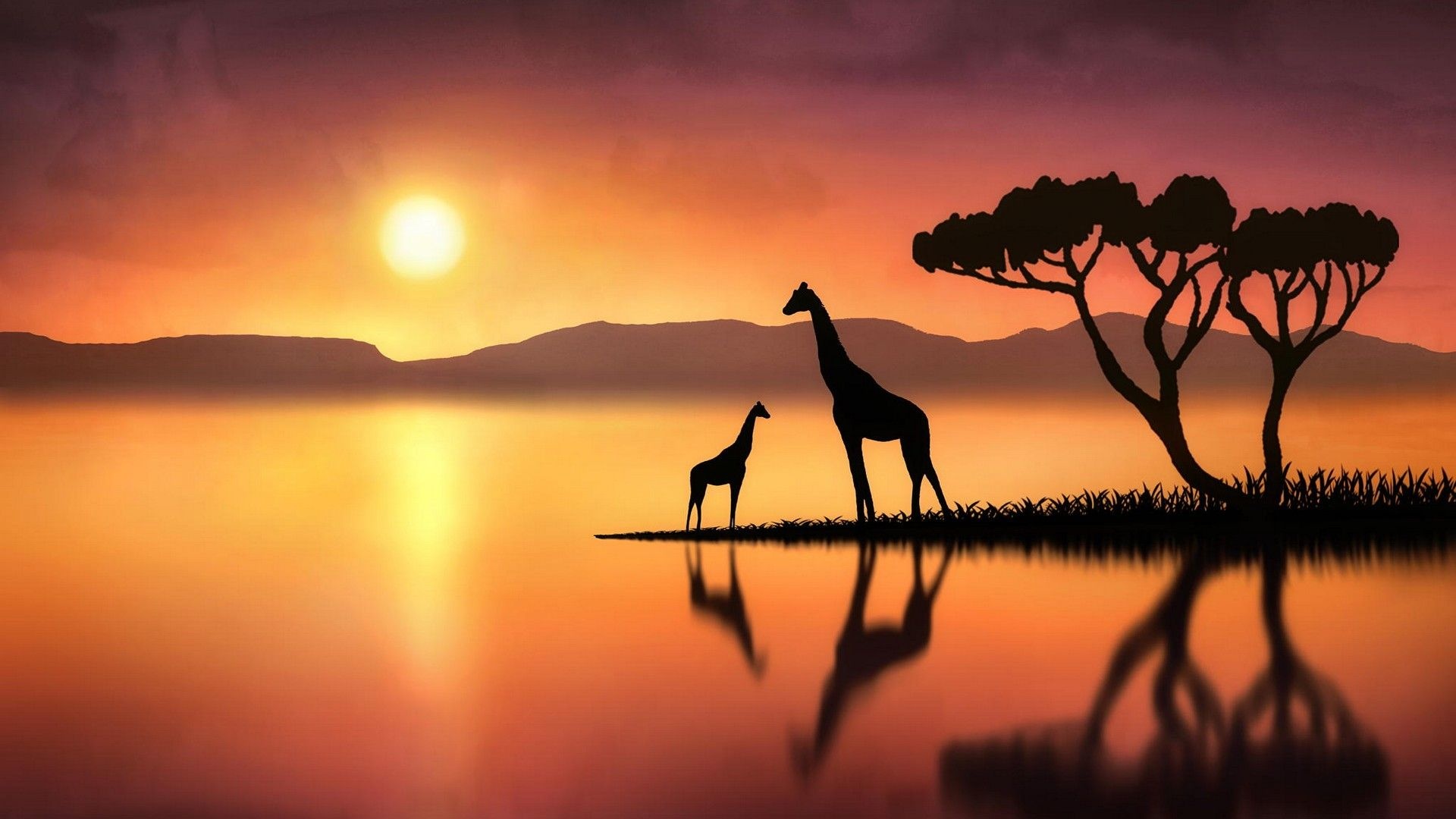 Giraffe: Sleeps only a few hours every day and generally only for short periods at a time. 1920x1080 Full HD Wallpaper.