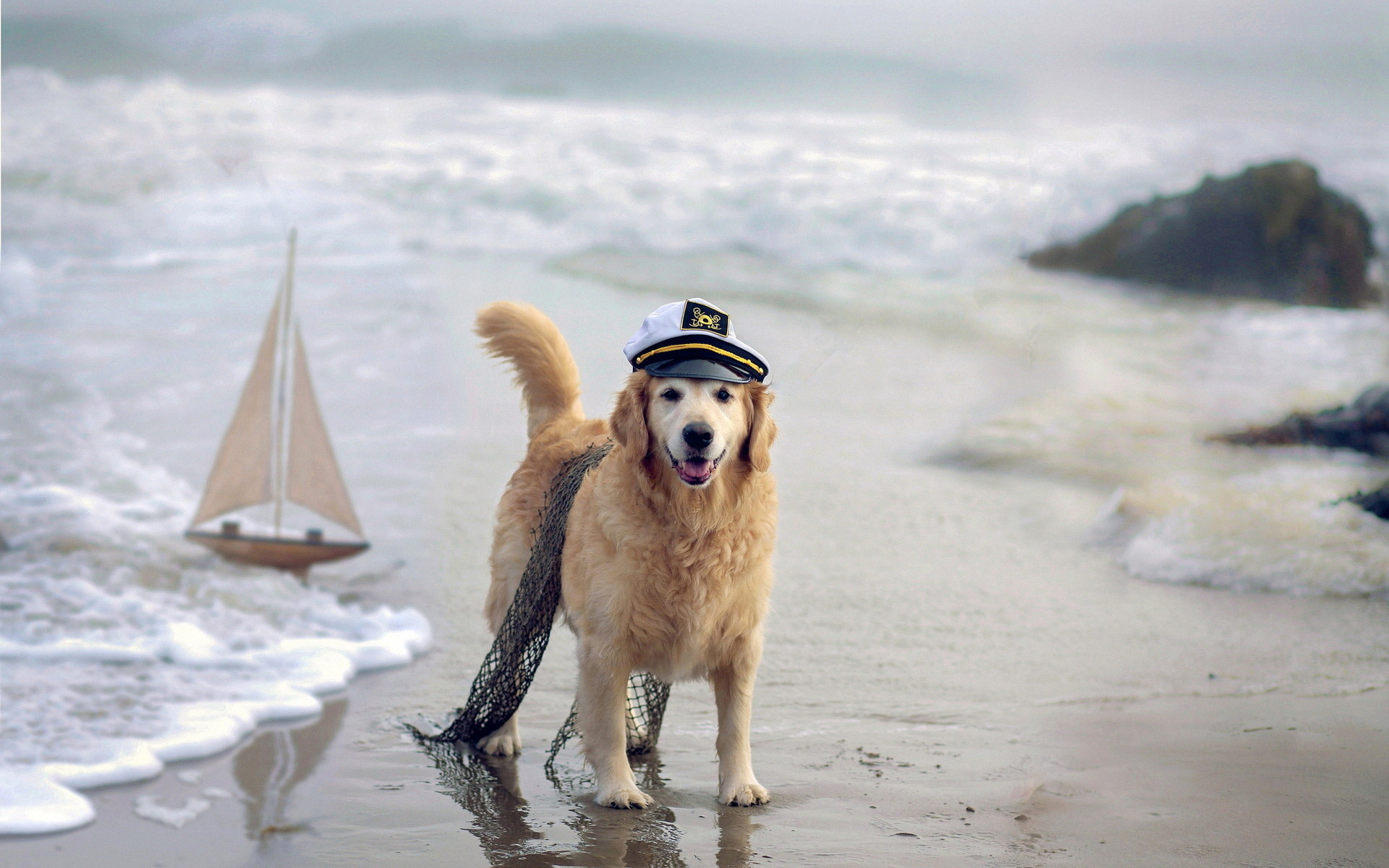 Dog with sailor hat, Beach wallpapers, Summer vibes, Fun in the sun, 1920x1200 HD Desktop