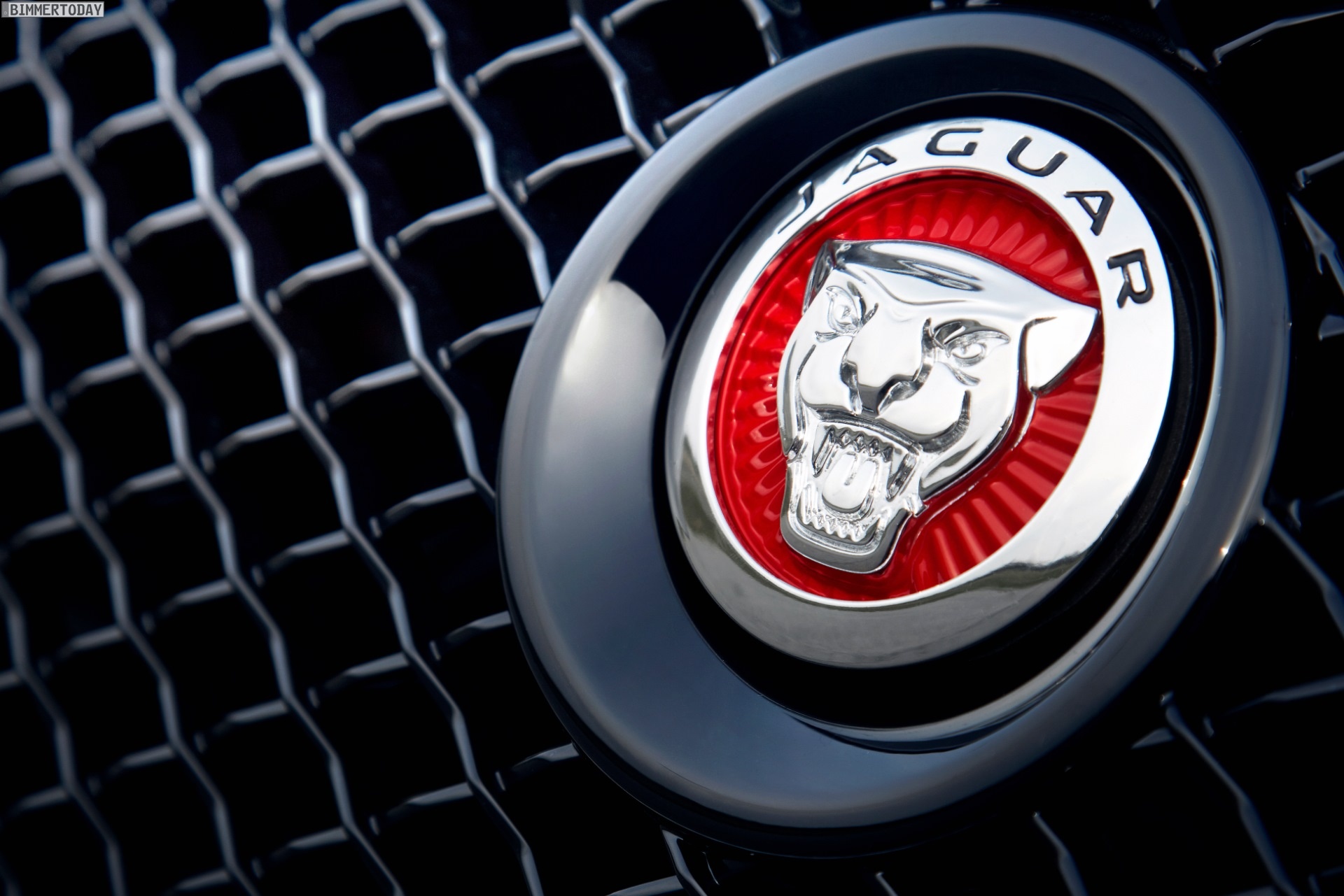 Radiator Mesh, Jaguar Logo Wallpaper, 1920x1290 HD Desktop