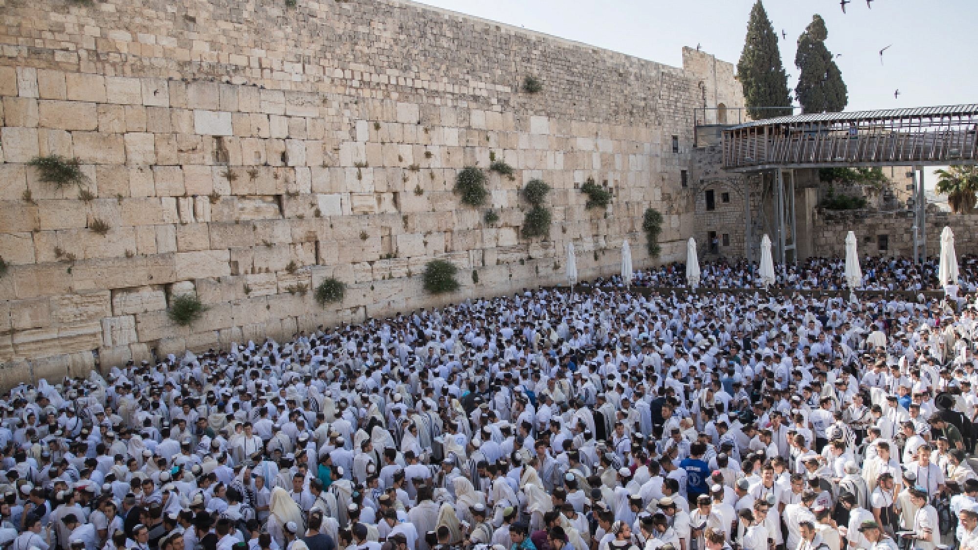Temple Mount, Jerusalem Day, Arab riots, Jews, 2000x1130 HD Desktop