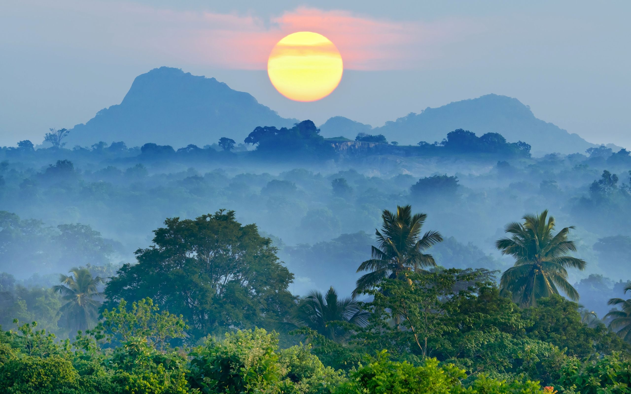 Vietnam Landscape, Breathtaking beauty, Tranquil background, Captivating imagery, 2560x1600 HD Desktop