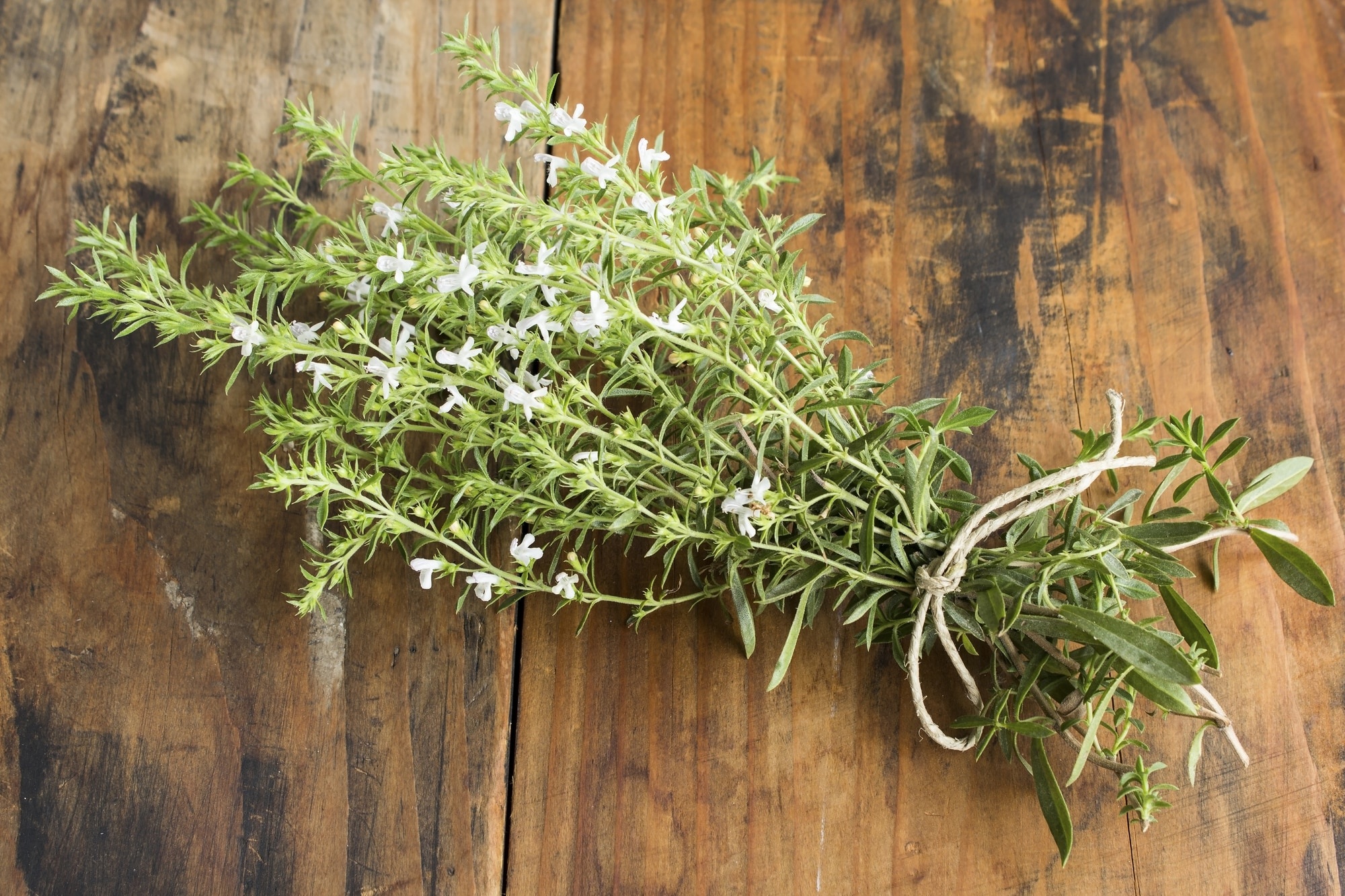 Winter Savory, Cooking, Summer savory, Spiceography, 2000x1340 HD Desktop