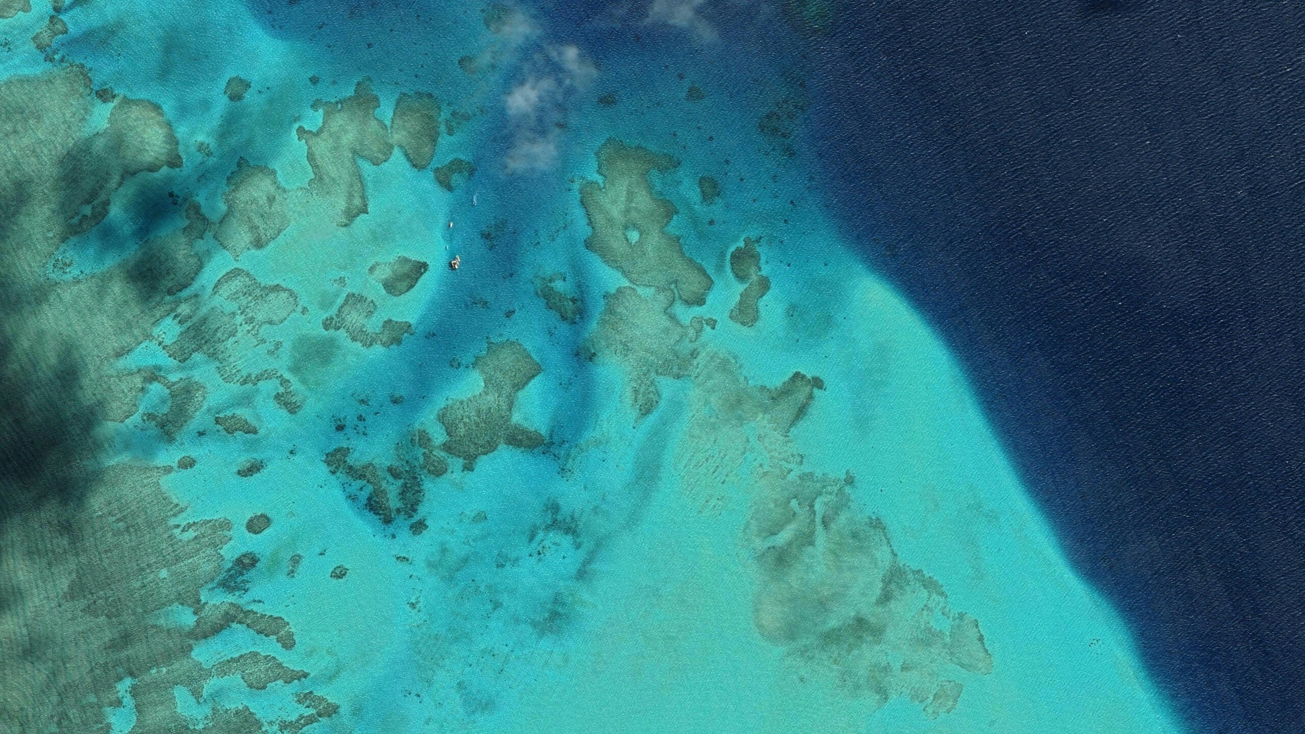 Great Barrier Reef: Malolo, Coral reefs, Oceania. 2560x1440 HD Wallpaper.