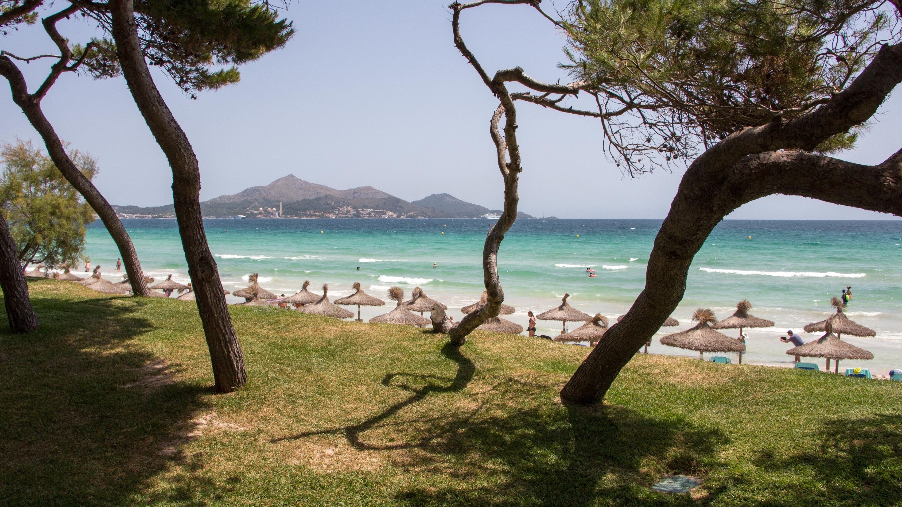 Playa de Muro coast, Beach wallpapers, Trees wallpaper, 3840x2160 4K Desktop