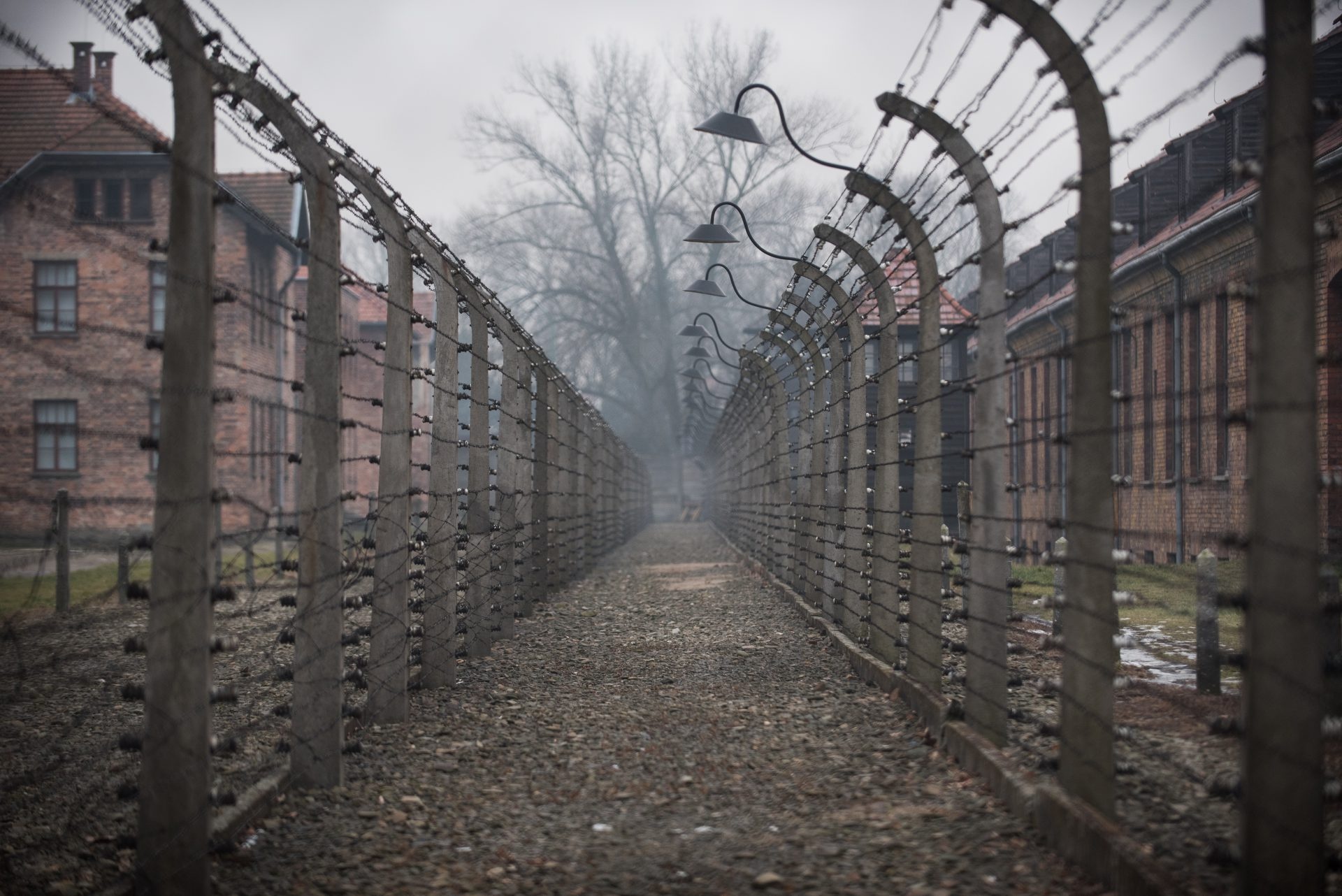 Auschwitz visit, Holocaust memorial, Polish tension, 1920x1290 HD Desktop