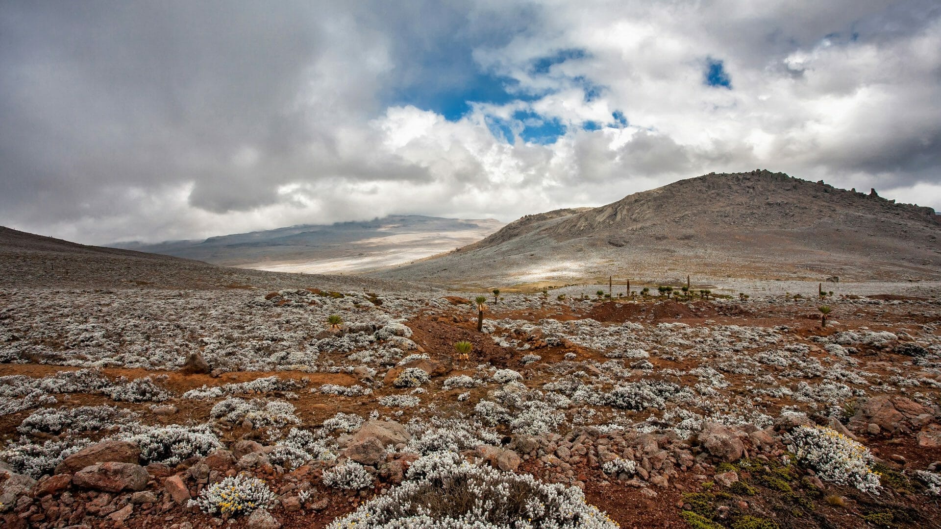 Bale Mountains National Park, Natural attractions, Four Sisters Tours, Ethiopia, 1920x1080 Full HD Desktop